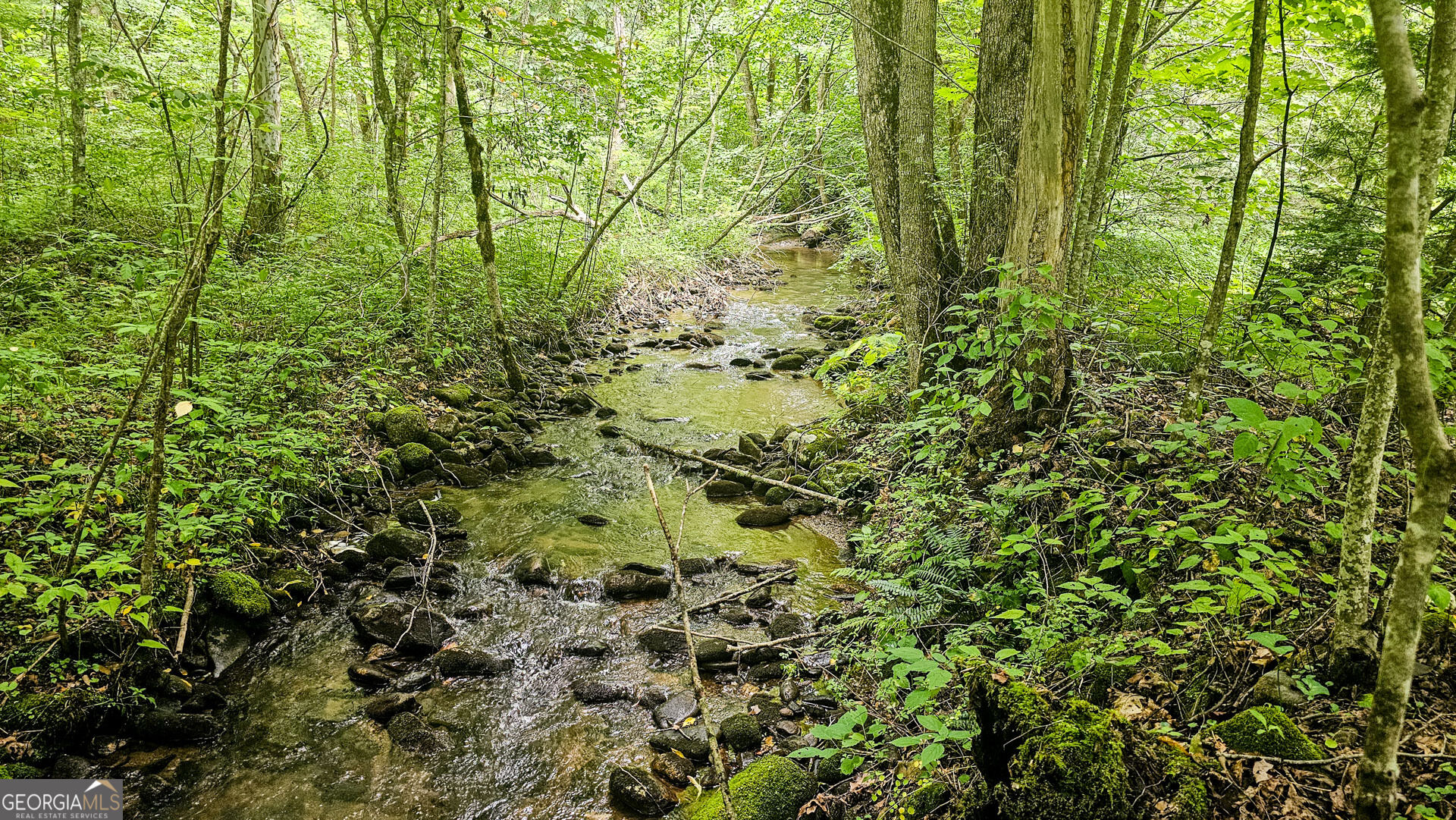 0 River Run N Property Photo 6
