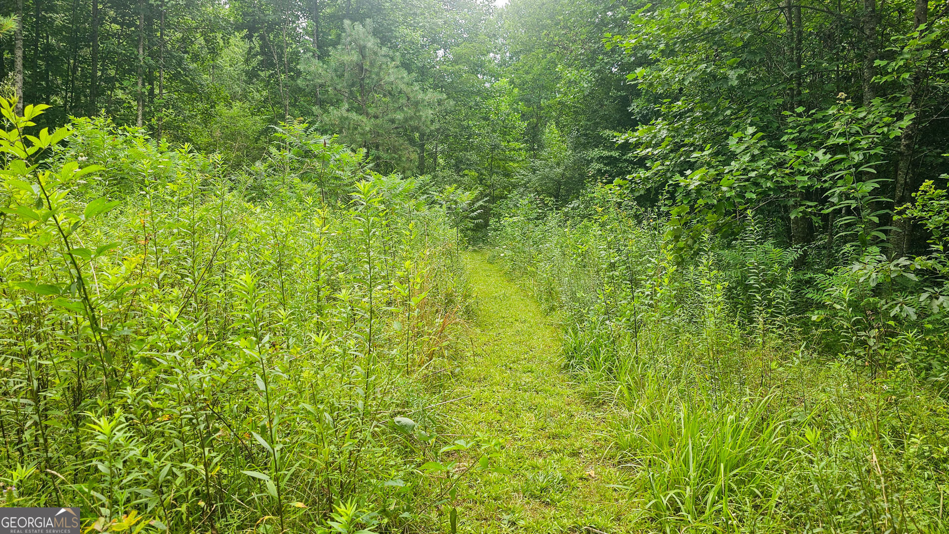 0 River Run N Property Photo 15