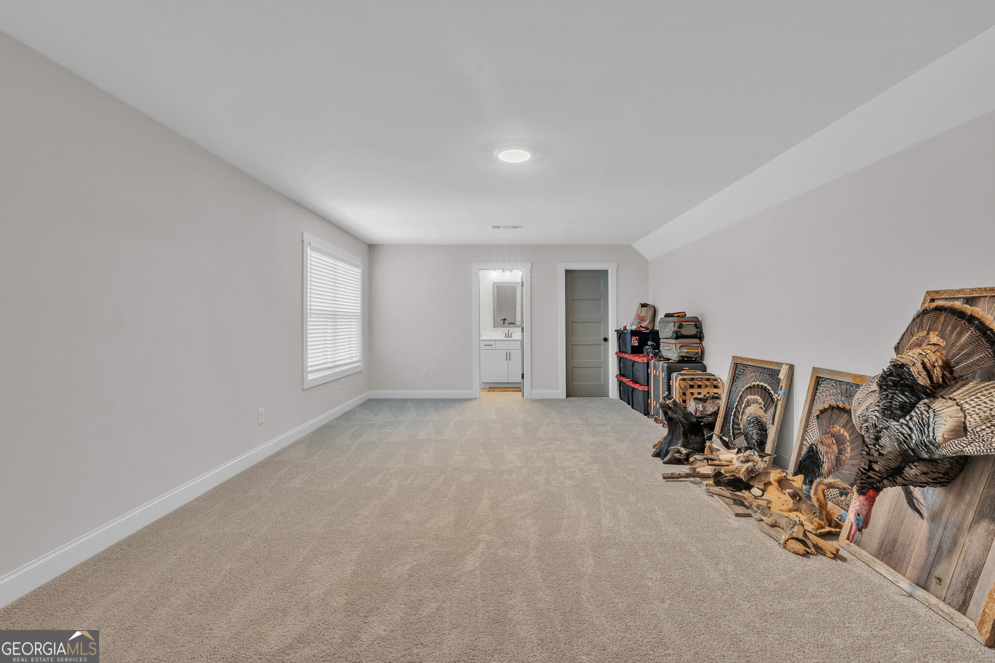 392 Georgian Pines Drive Property Photo 56