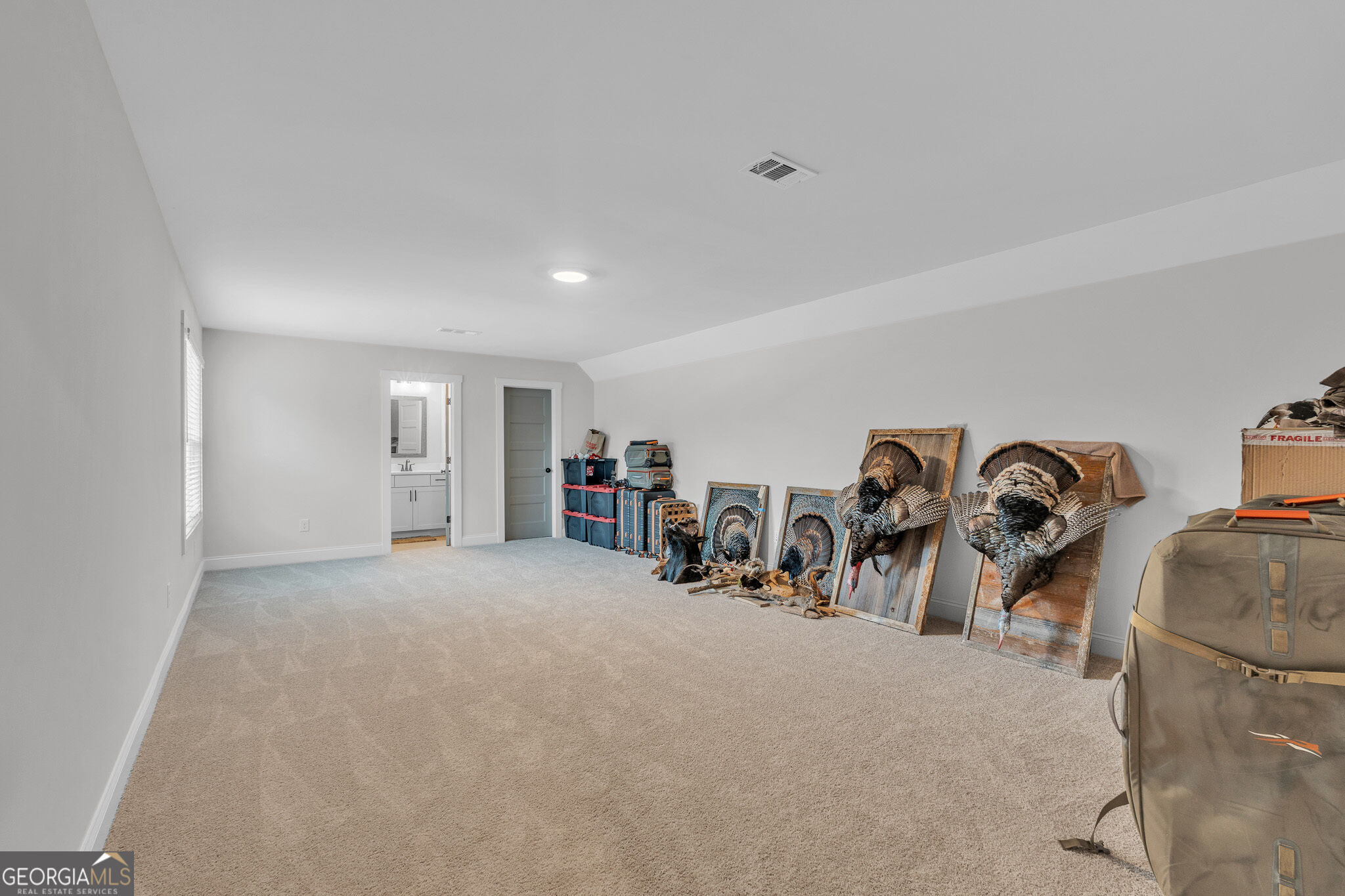 392 Georgian Pines Drive Property Photo 60