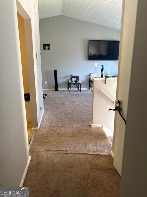 355 Lori Lane Property Photo 11