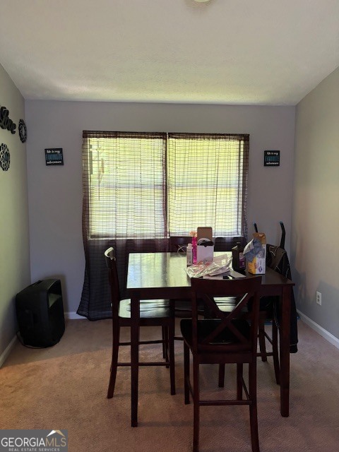 355 Lori Lane Property Photo 14