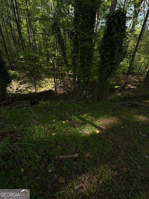 355 Lori Lane Property Photo 17