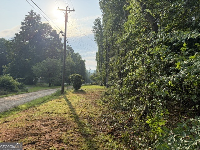 Lot 113 Normandy Trail Property Photo 5