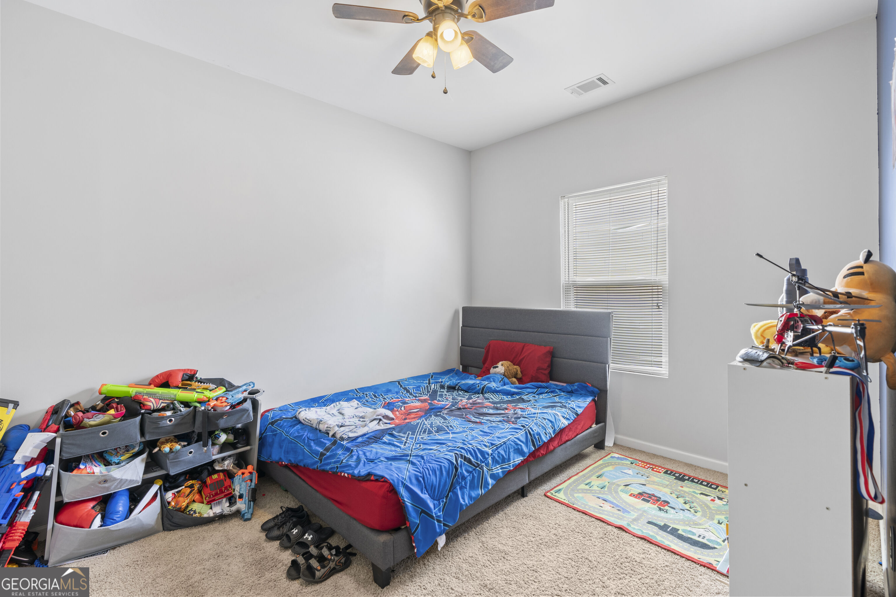 4219 Box Elder Path Property Photo 22