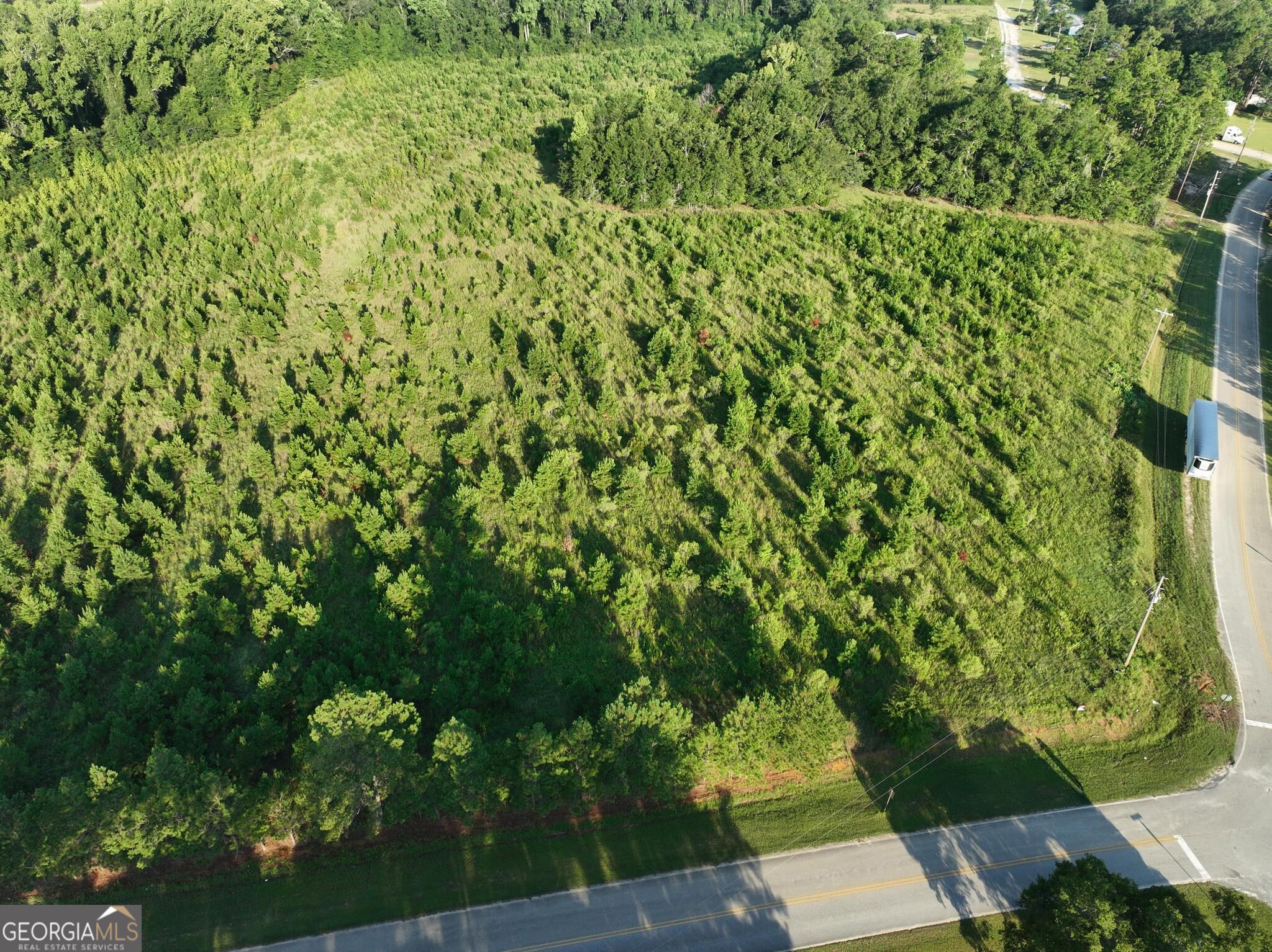 0 Ben Grady Collins Road Property Photo 2
