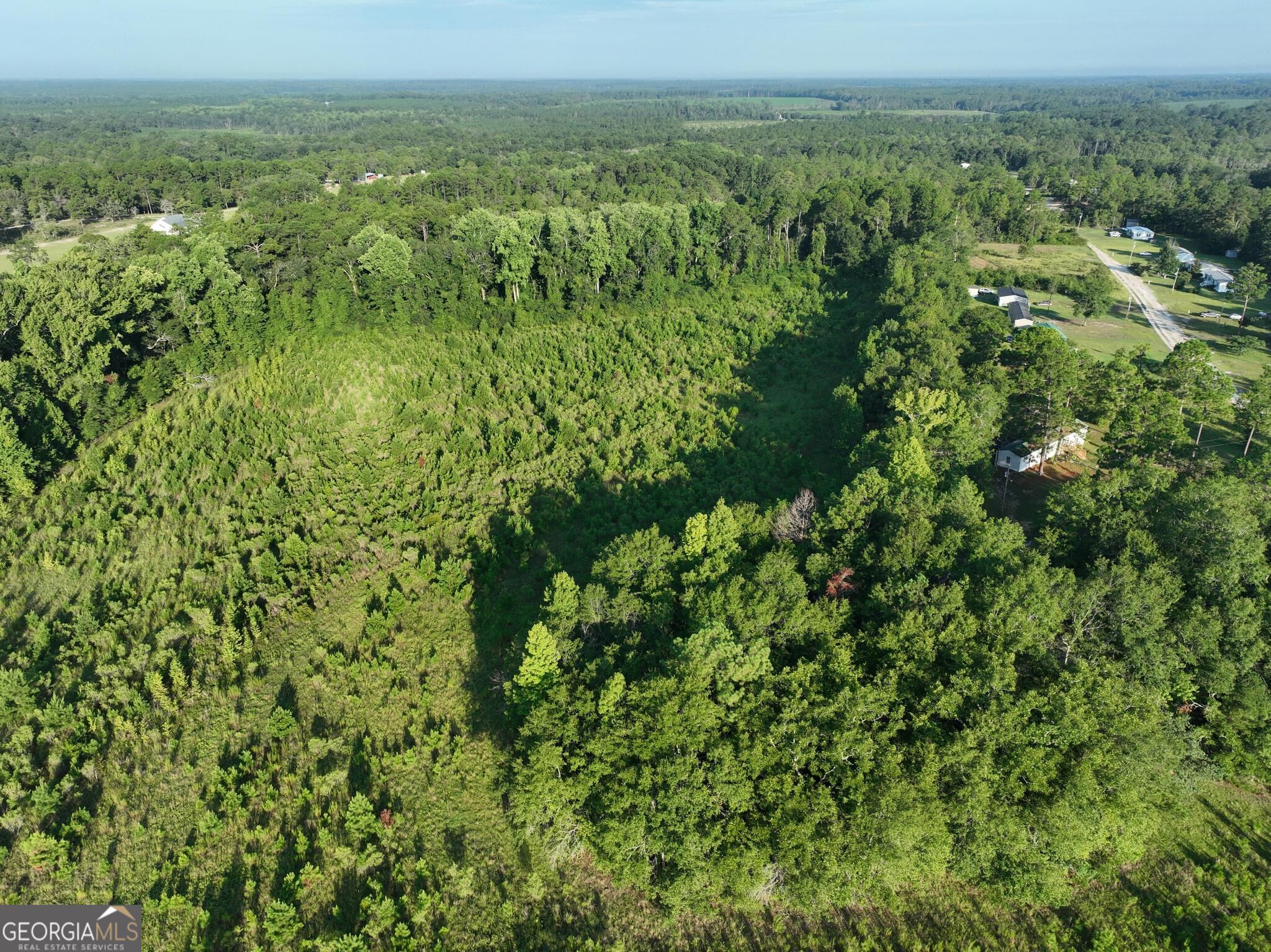 0 Ben Grady Collins Road Property Photo 3
