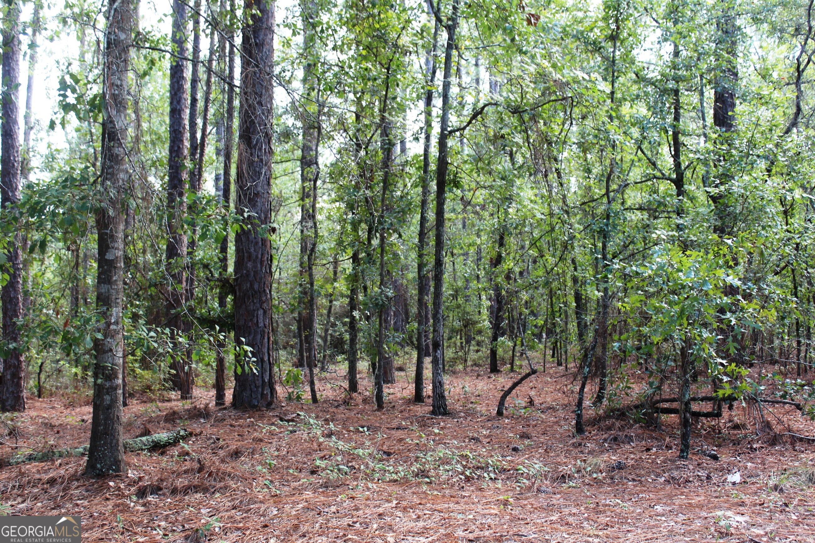 0 Ben Grady Collins Road Property Photo 20