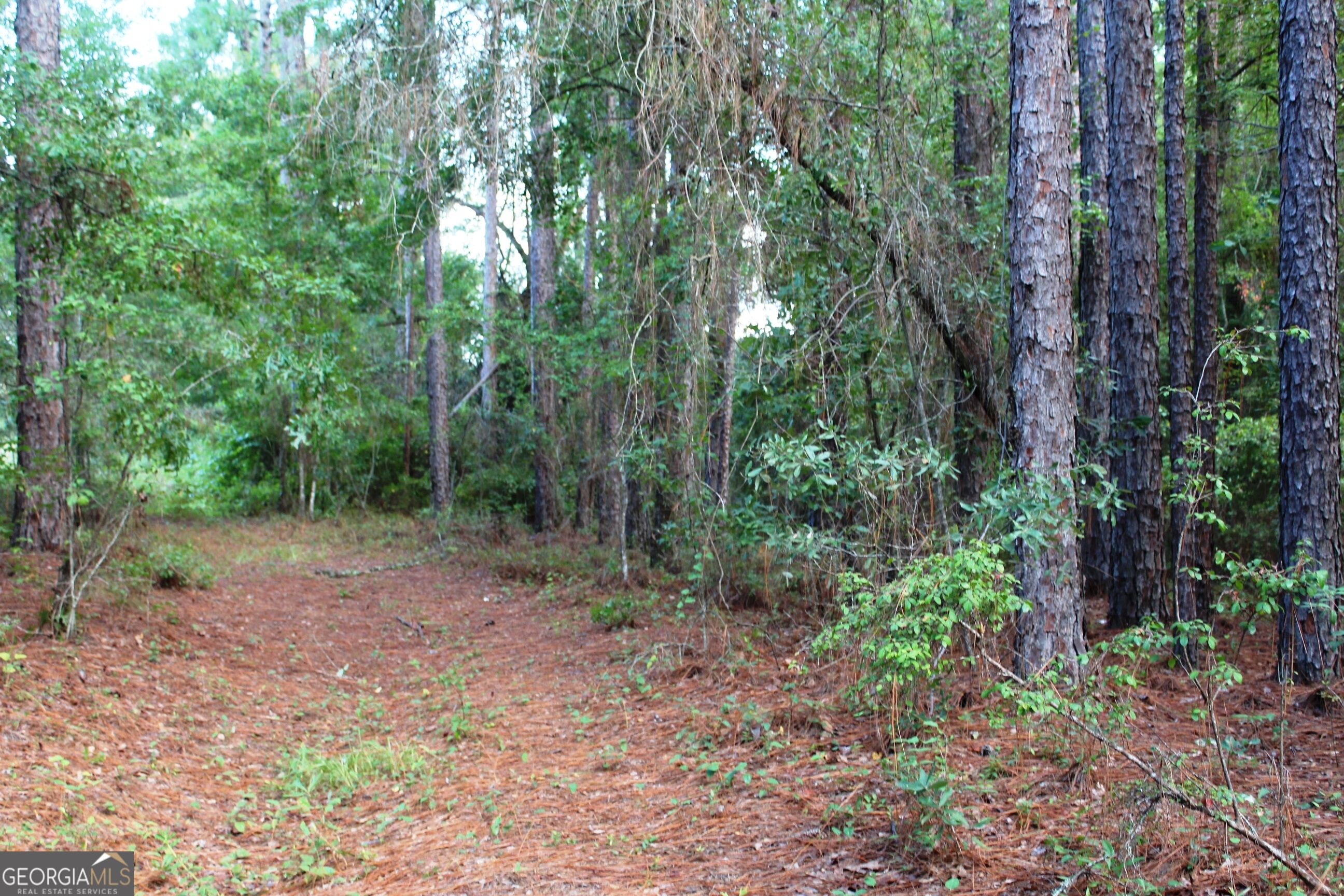 0 Ben Grady Collins Road Property Photo 21