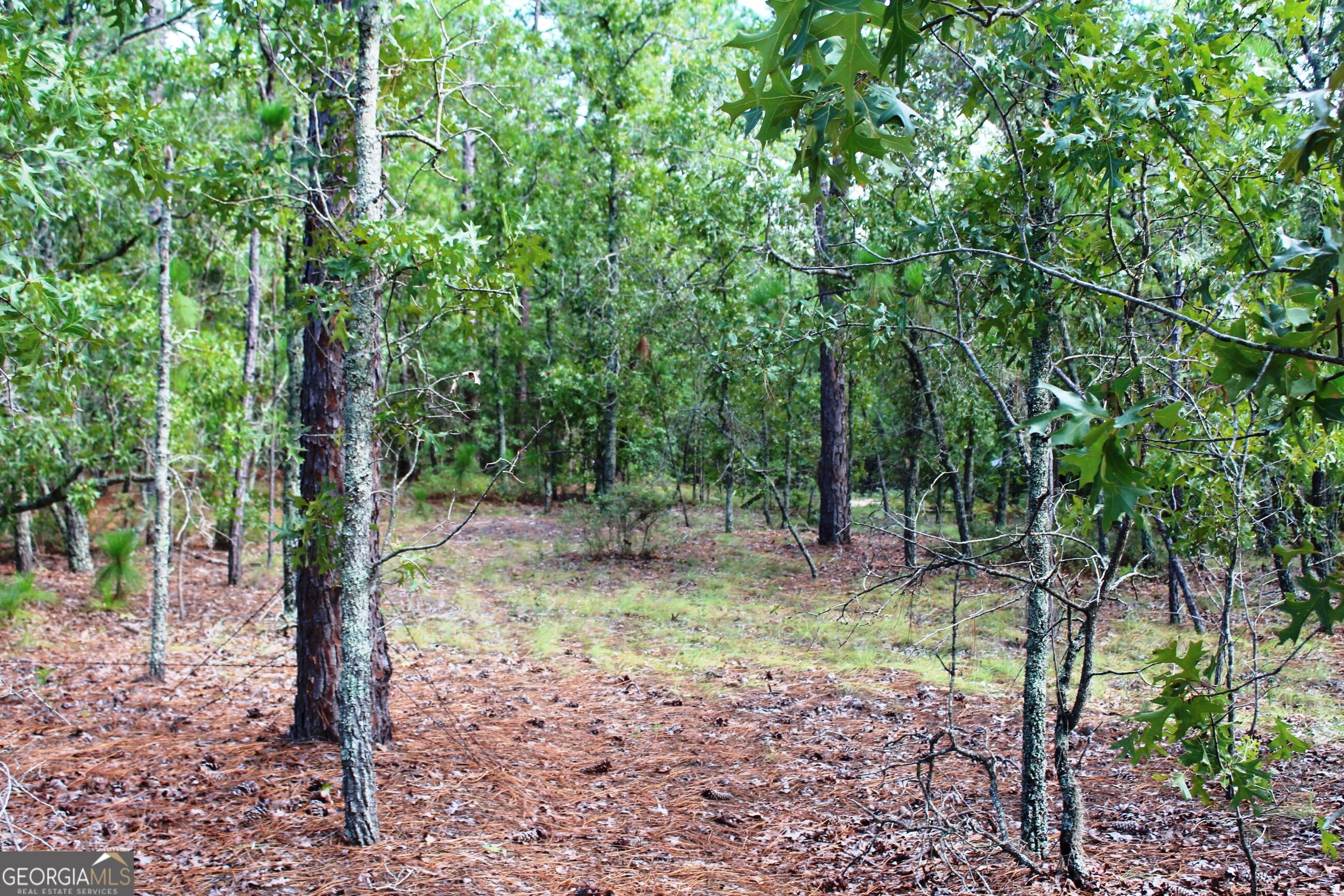 0 Ben Grady Collins Road Property Photo 23
