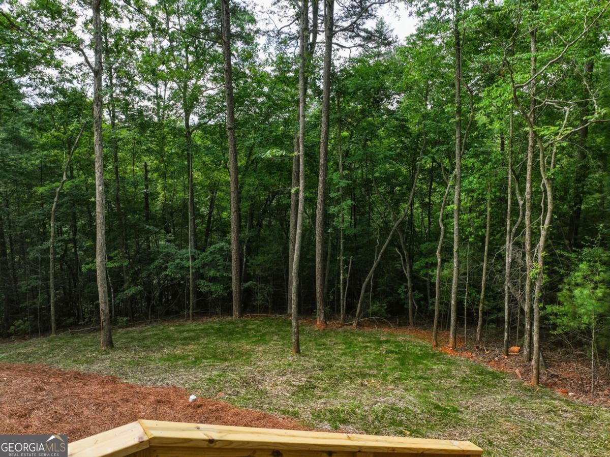 257 Gallery Court Property Photo 49