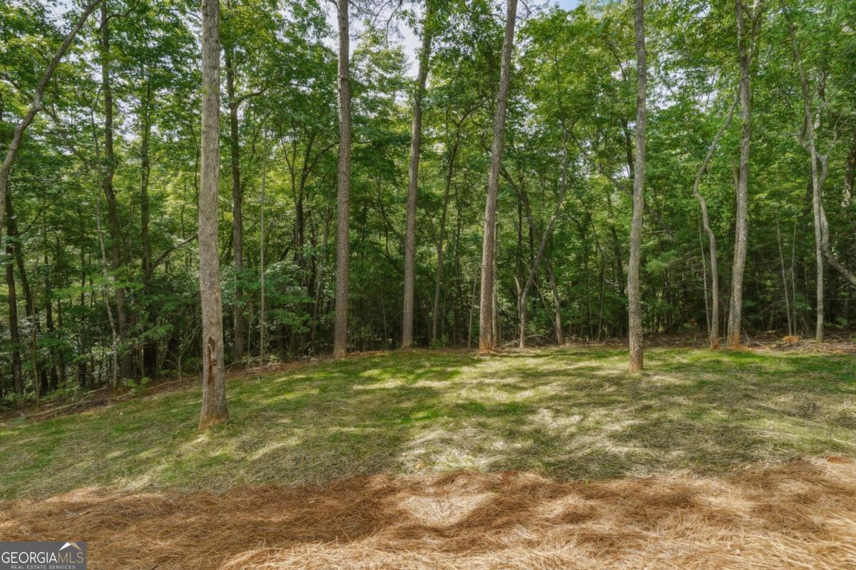 257 Gallery Court Property Photo 50