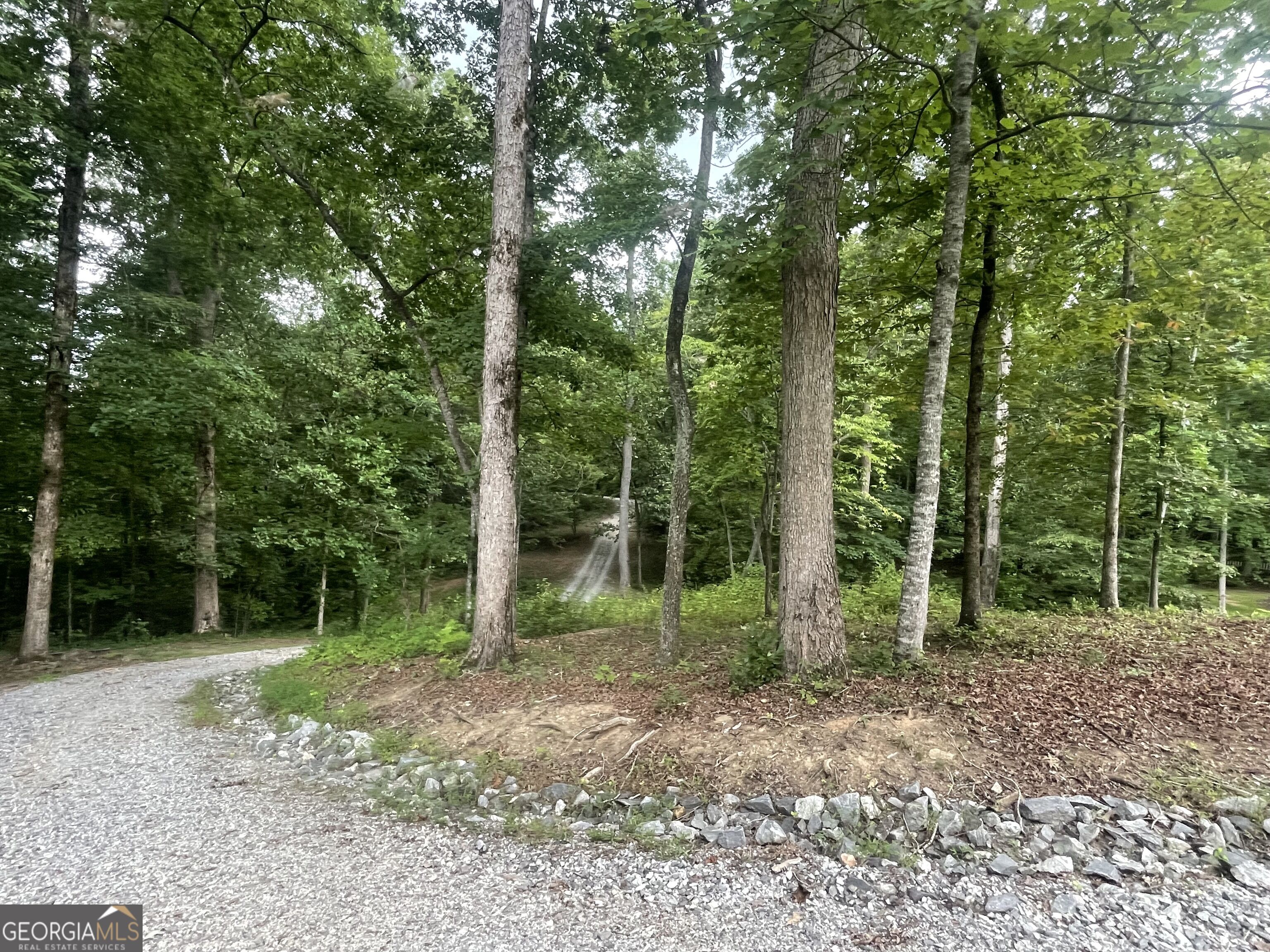 350 Foggy Creek Lane # 16b Property Photo 103