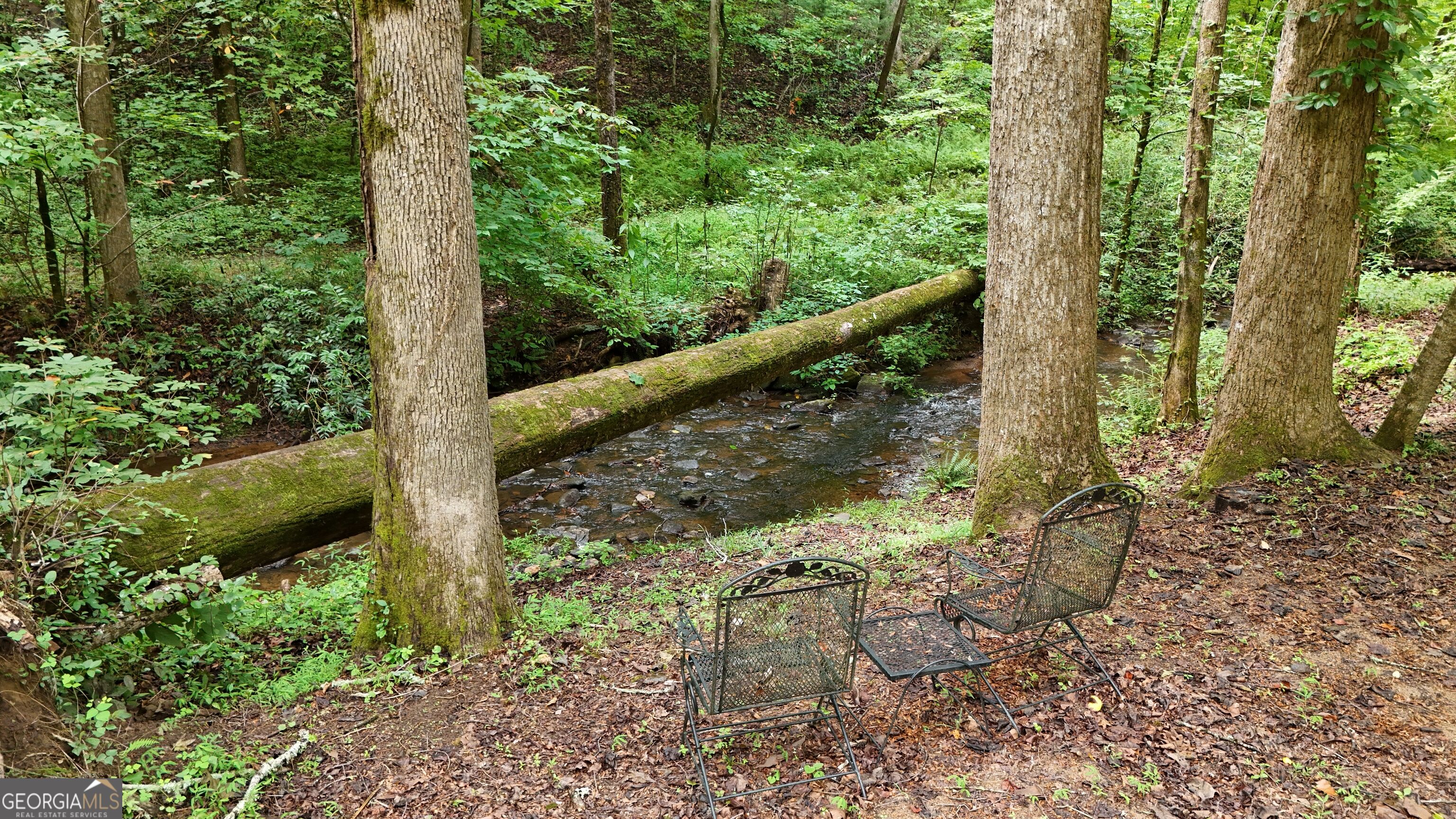 350 Foggy Creek Lane # 16b Property Photo 121