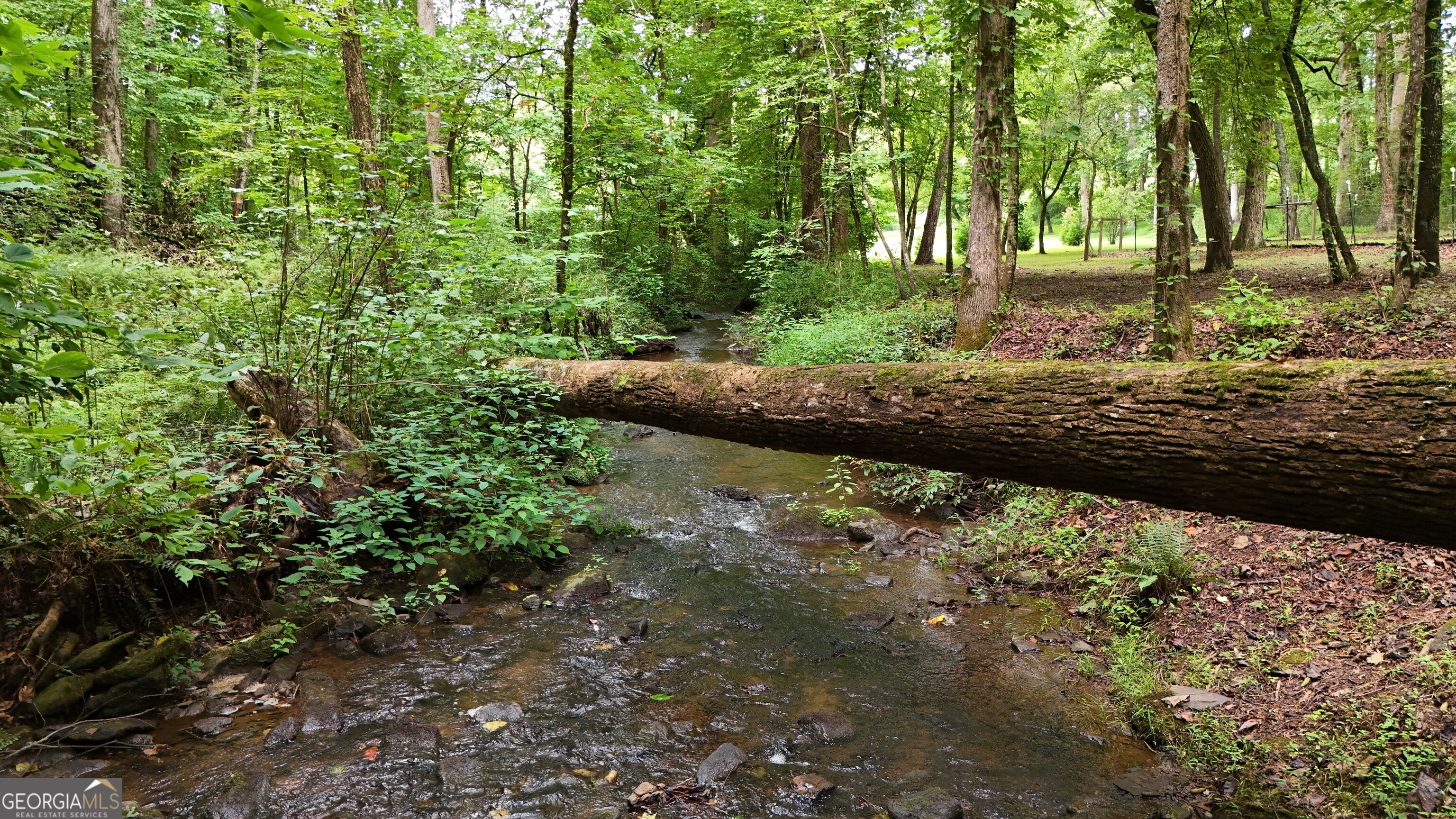 350 Foggy Creek Lane # 16b Property Photo 122