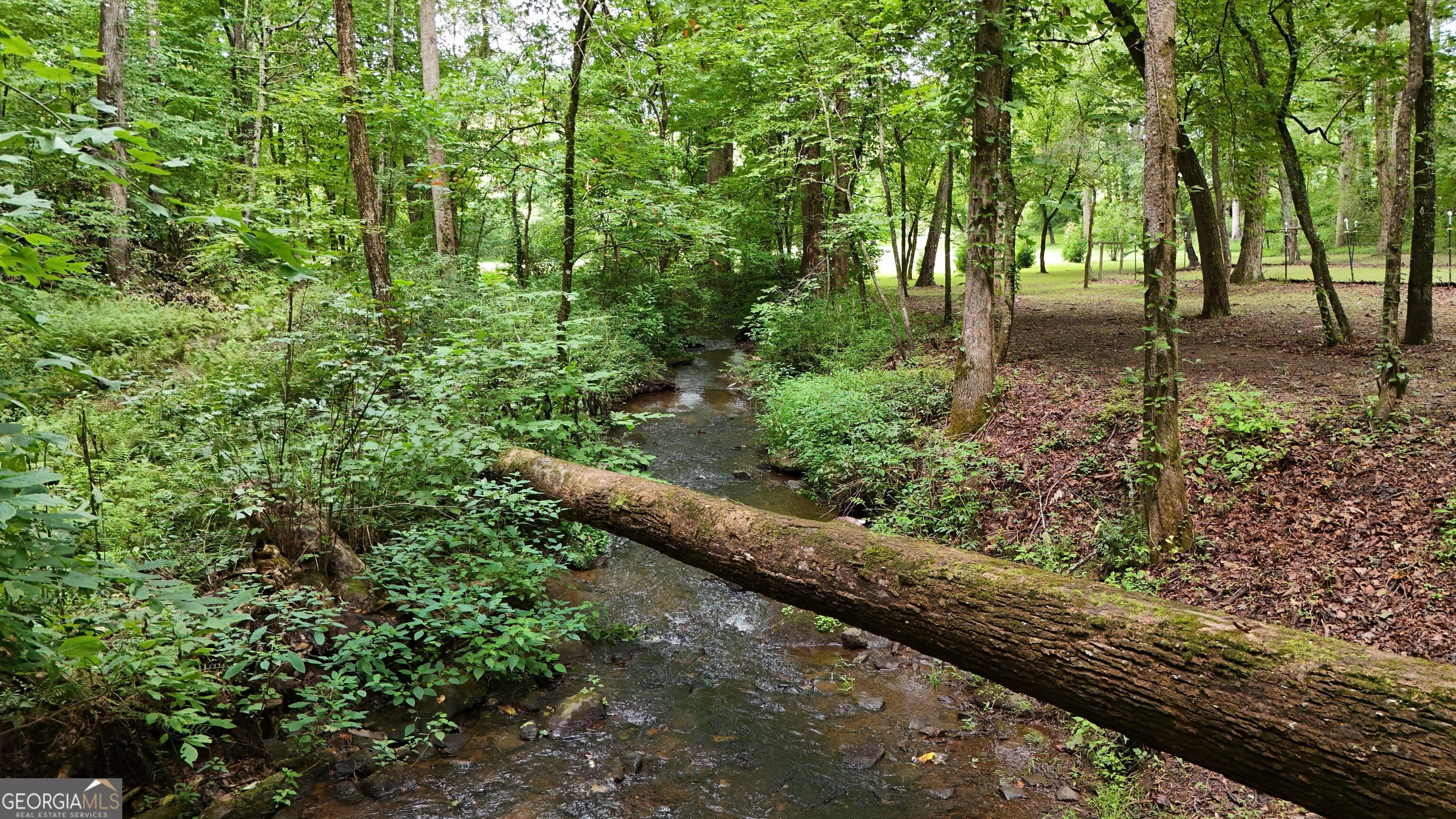 350 Foggy Creek Lane # 16b Property Photo 124