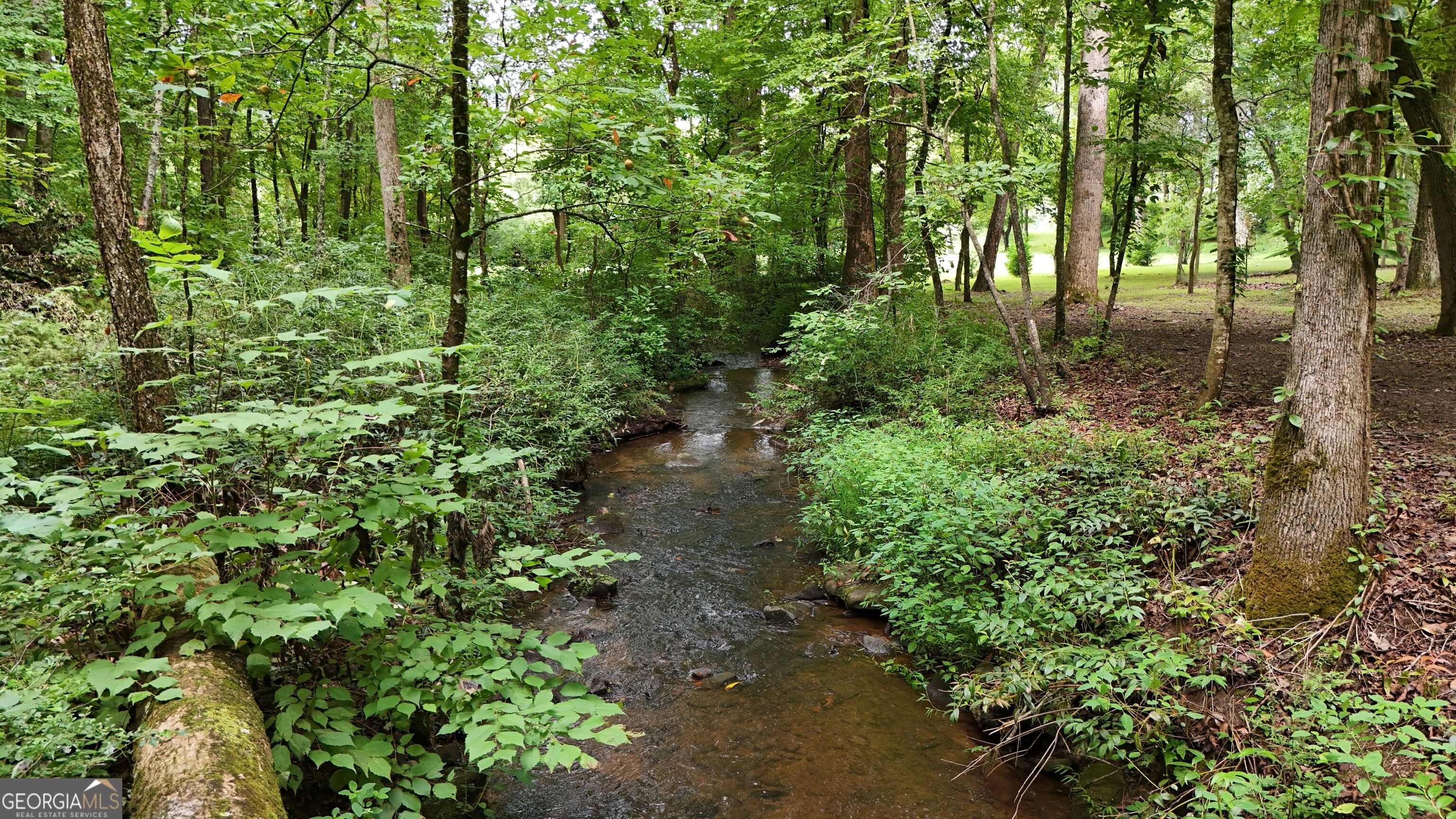 350 Foggy Creek Lane # 16b Property Photo 125