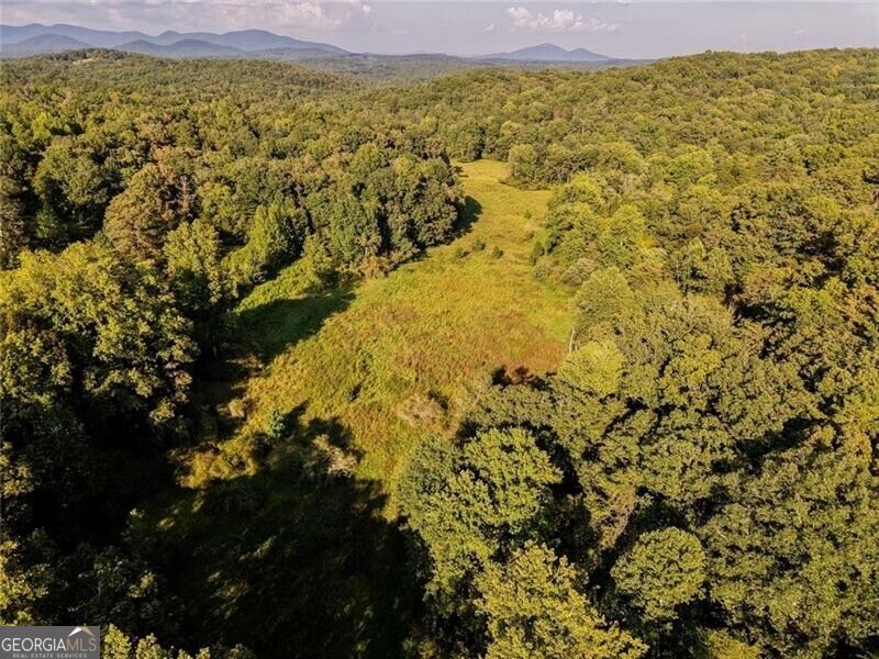 Lot A Porter Springs Road Property Photo 1