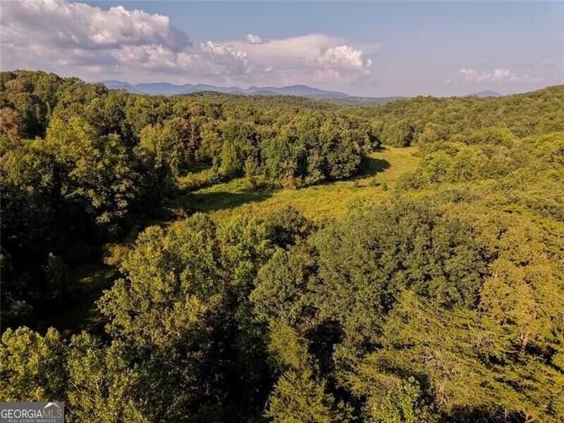 Lot A Porter Springs Road Property Photo 4