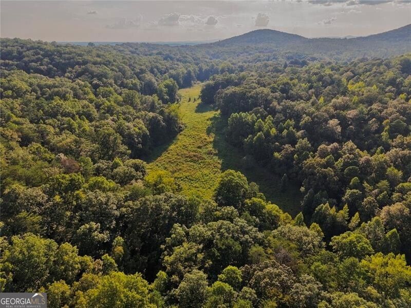 Lot A Porter Springs Road Property Photo 5