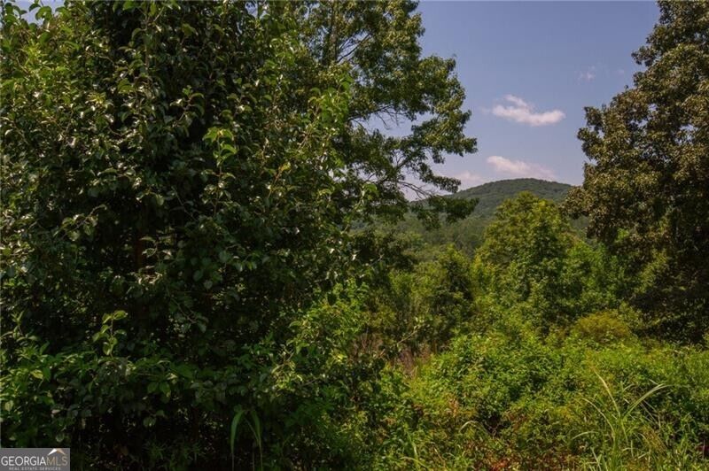 Lot A Porter Springs Road Property Photo 6