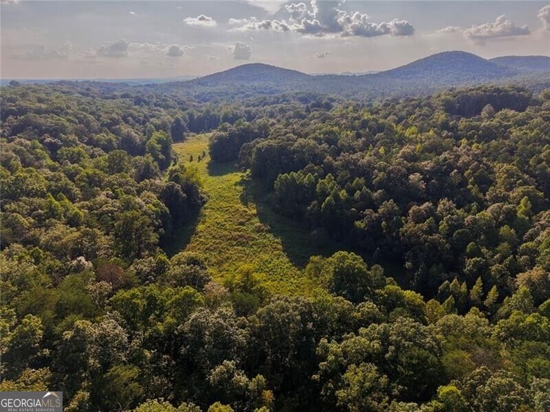 Lot A Porter Springs Road Property Photo 9
