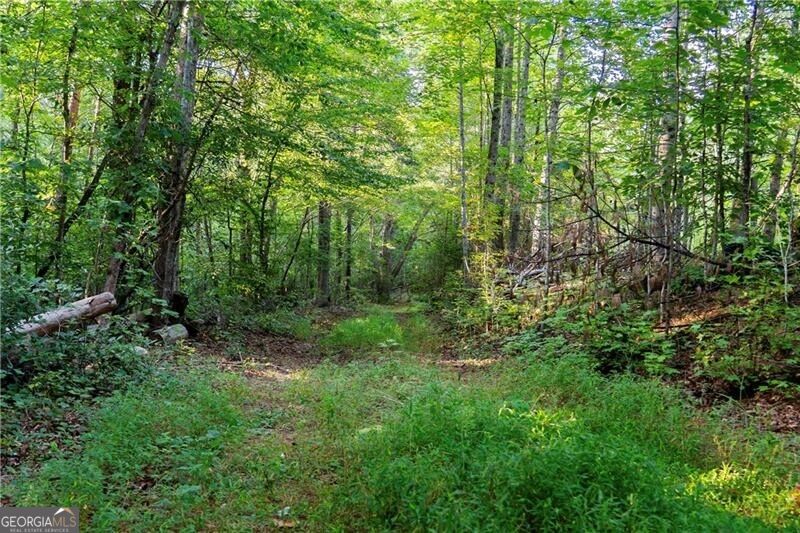 Lot A Porter Springs Road Property Photo 18