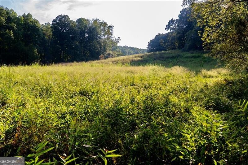 Lot A Porter Springs Road Property Photo 22