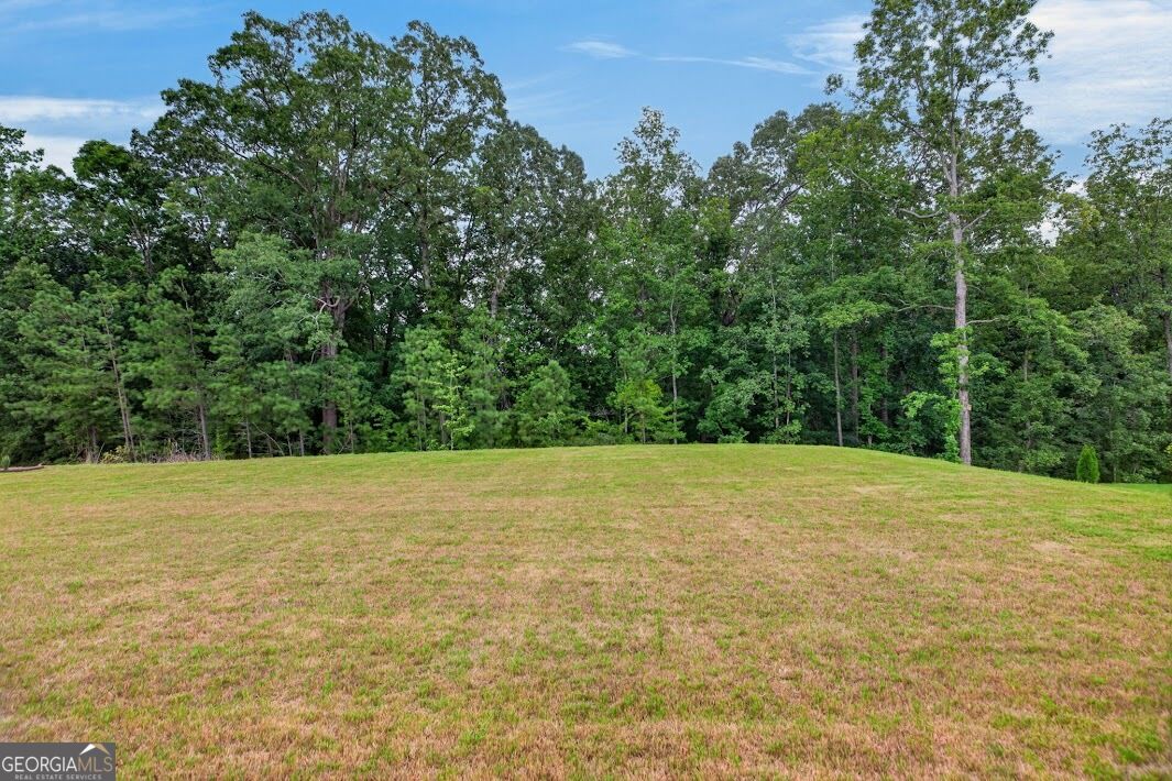 180 Pickens Bluff Lane Property Photo 41