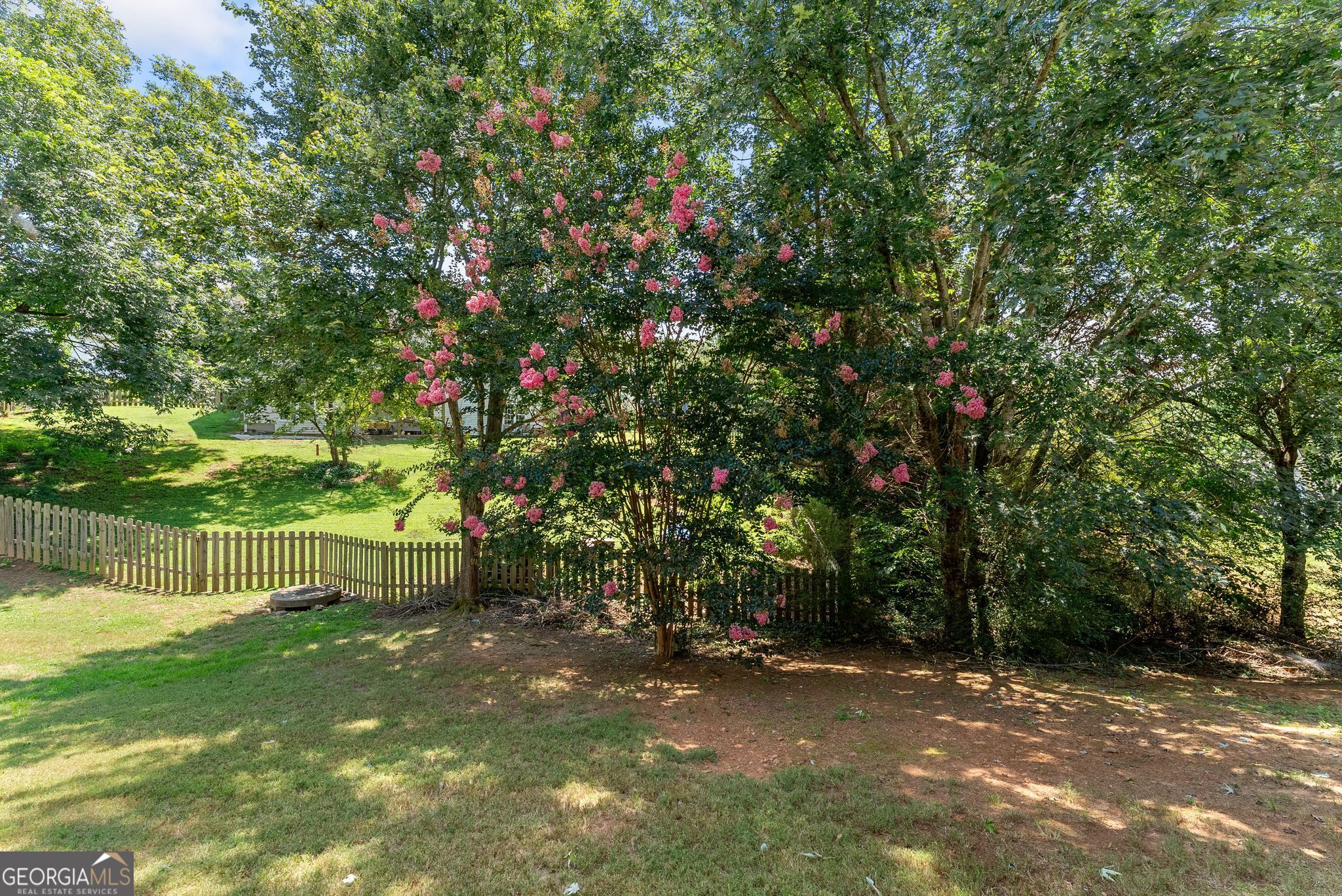 3819 Walnut Grove Way Property Photo 53