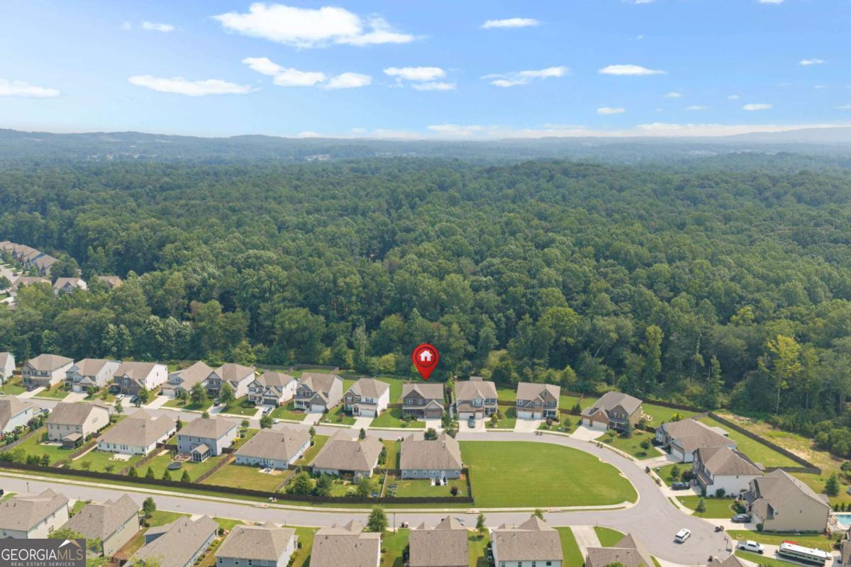 6295 Privet Way Property Photo 3