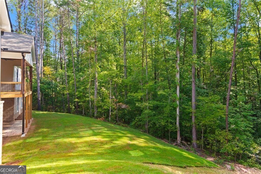 240 Highlands Chase Property Photo 50