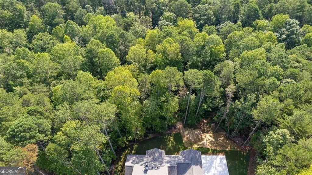 240 Highlands Chase Property Photo 97