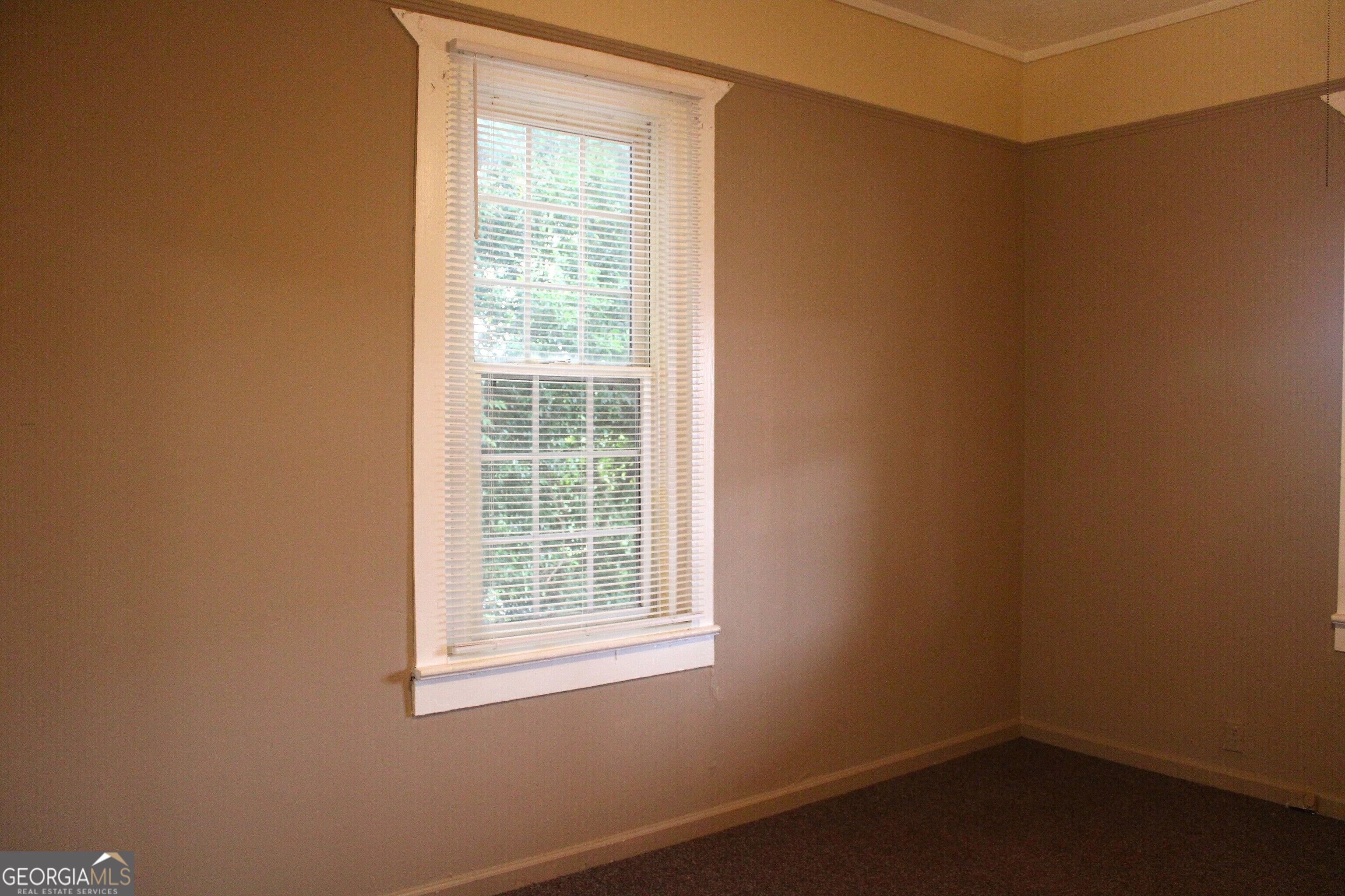 906 Callaway Avenue Property Photo 12