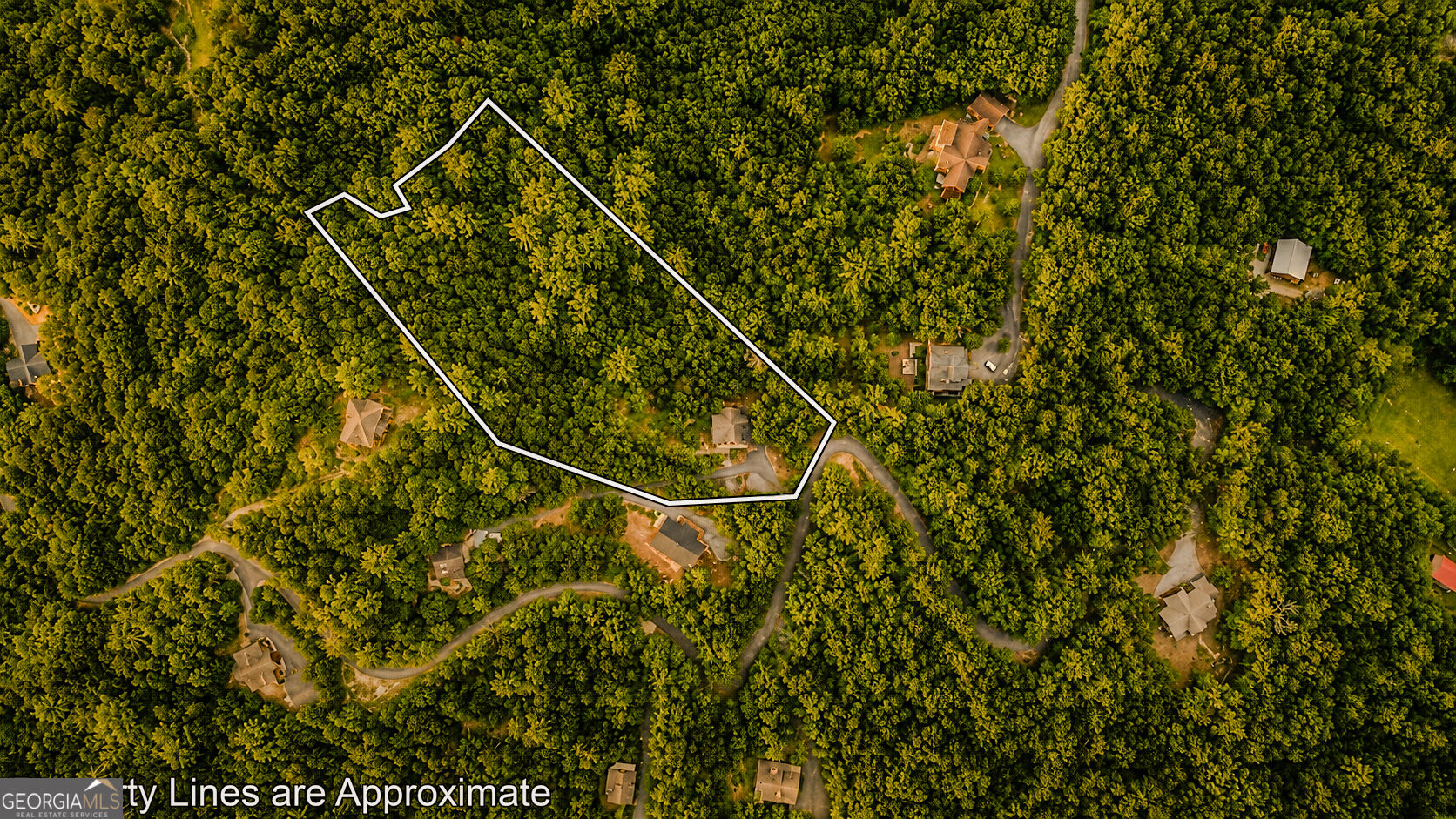 236 Hooch Holler Lane Property Photo 72