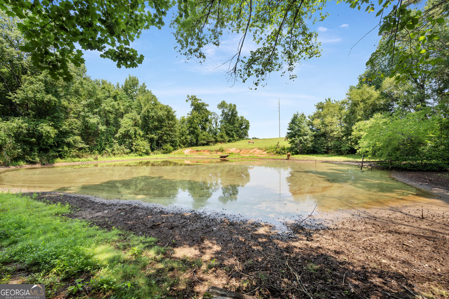 180 River Cove Road Property Photo 54