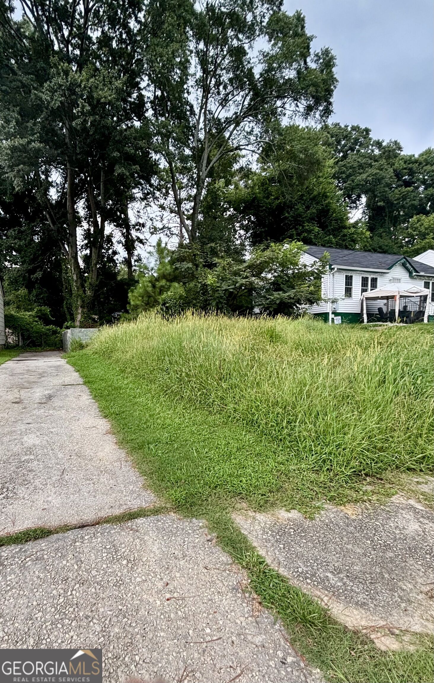 1131 Merrill Avenue Sw Property Photo 3