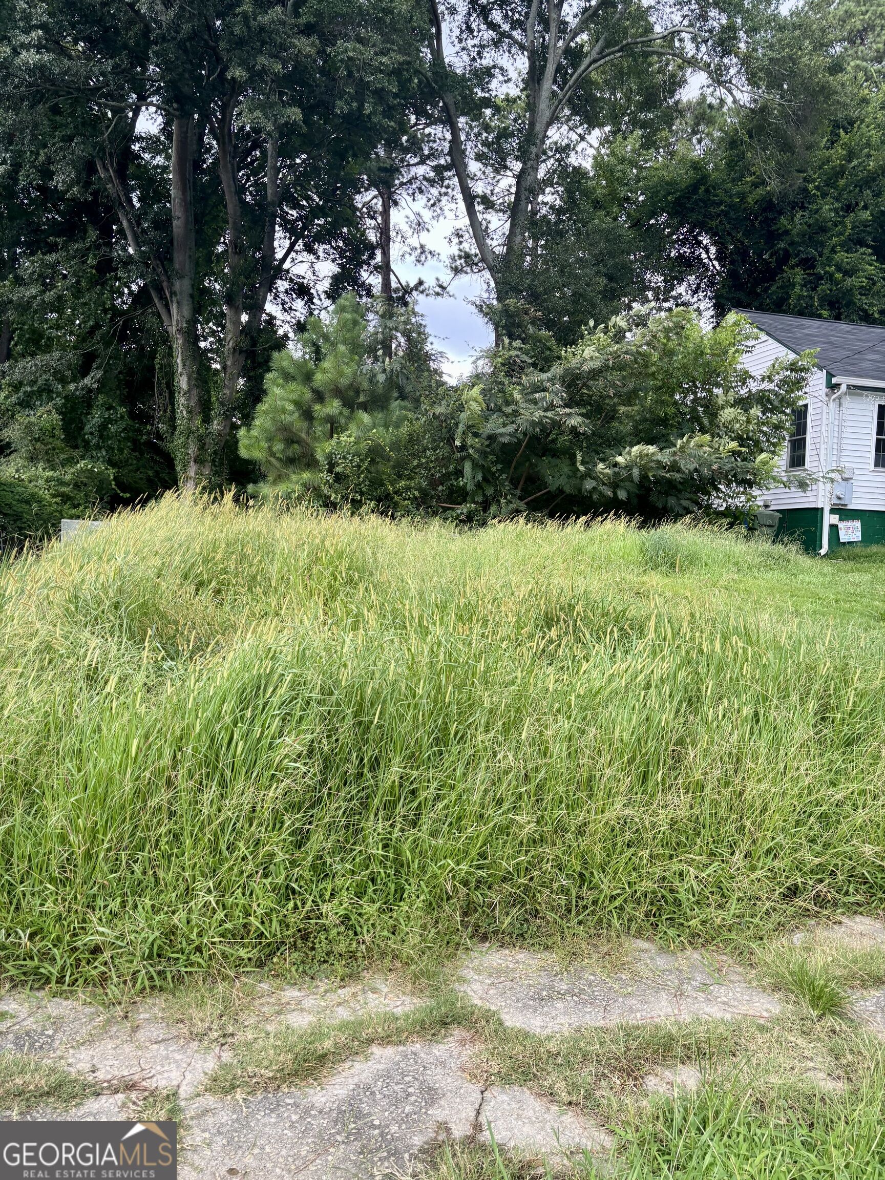 1131 Merrill Avenue Sw Property Photo 4