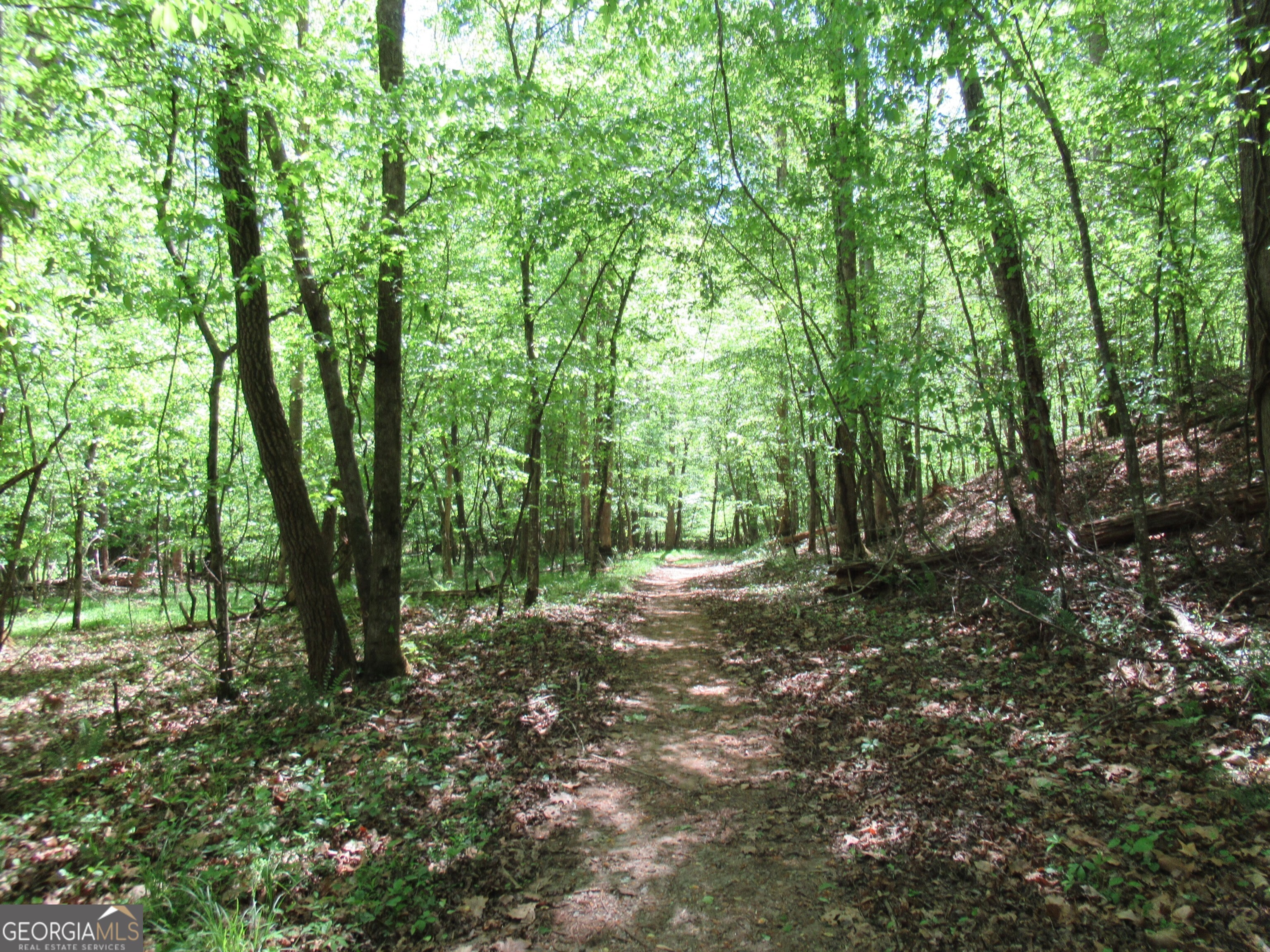 0 Chestatee Drive Property Photo 1
