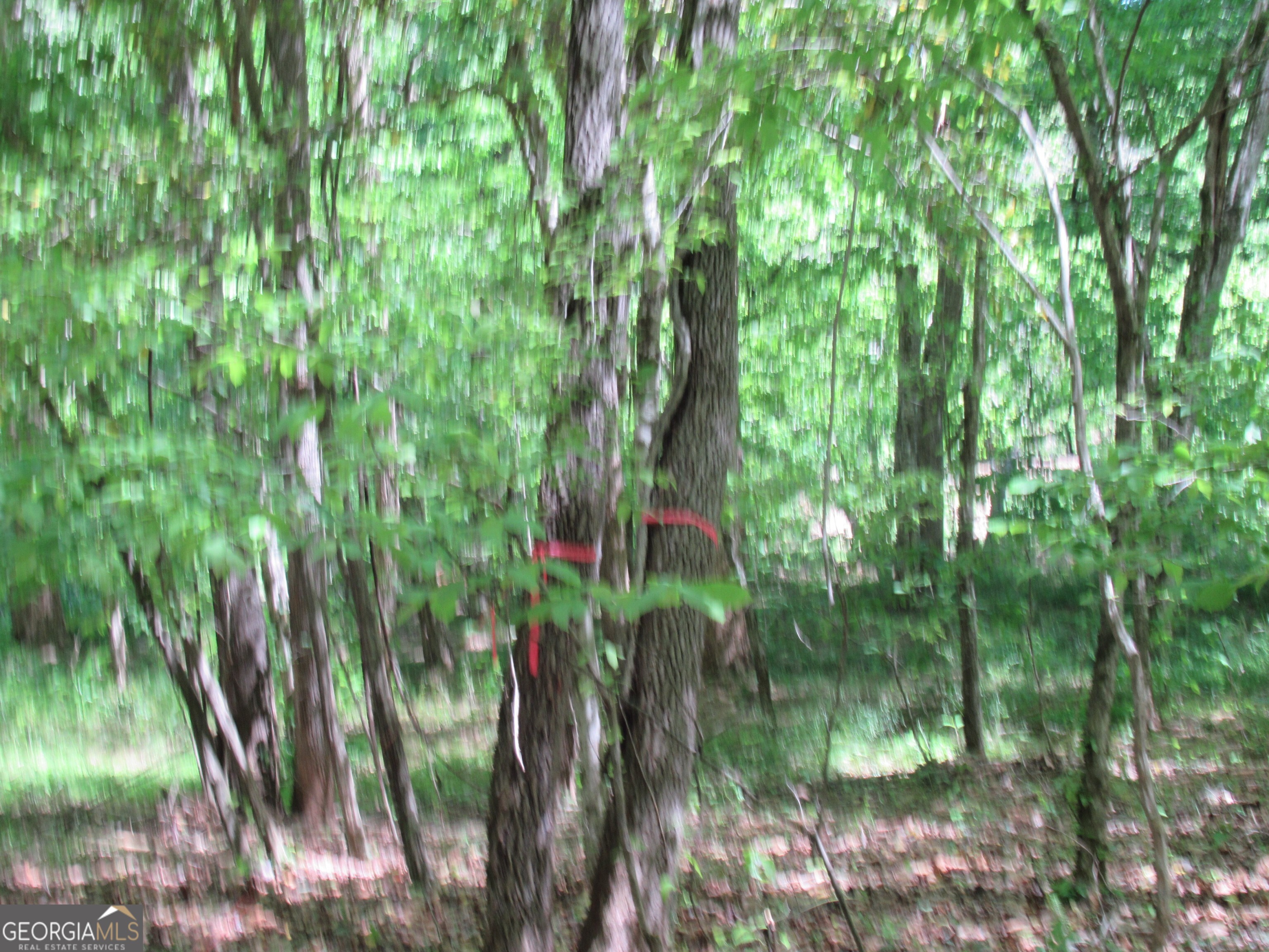 0 Chestatee Drive Property Photo 2