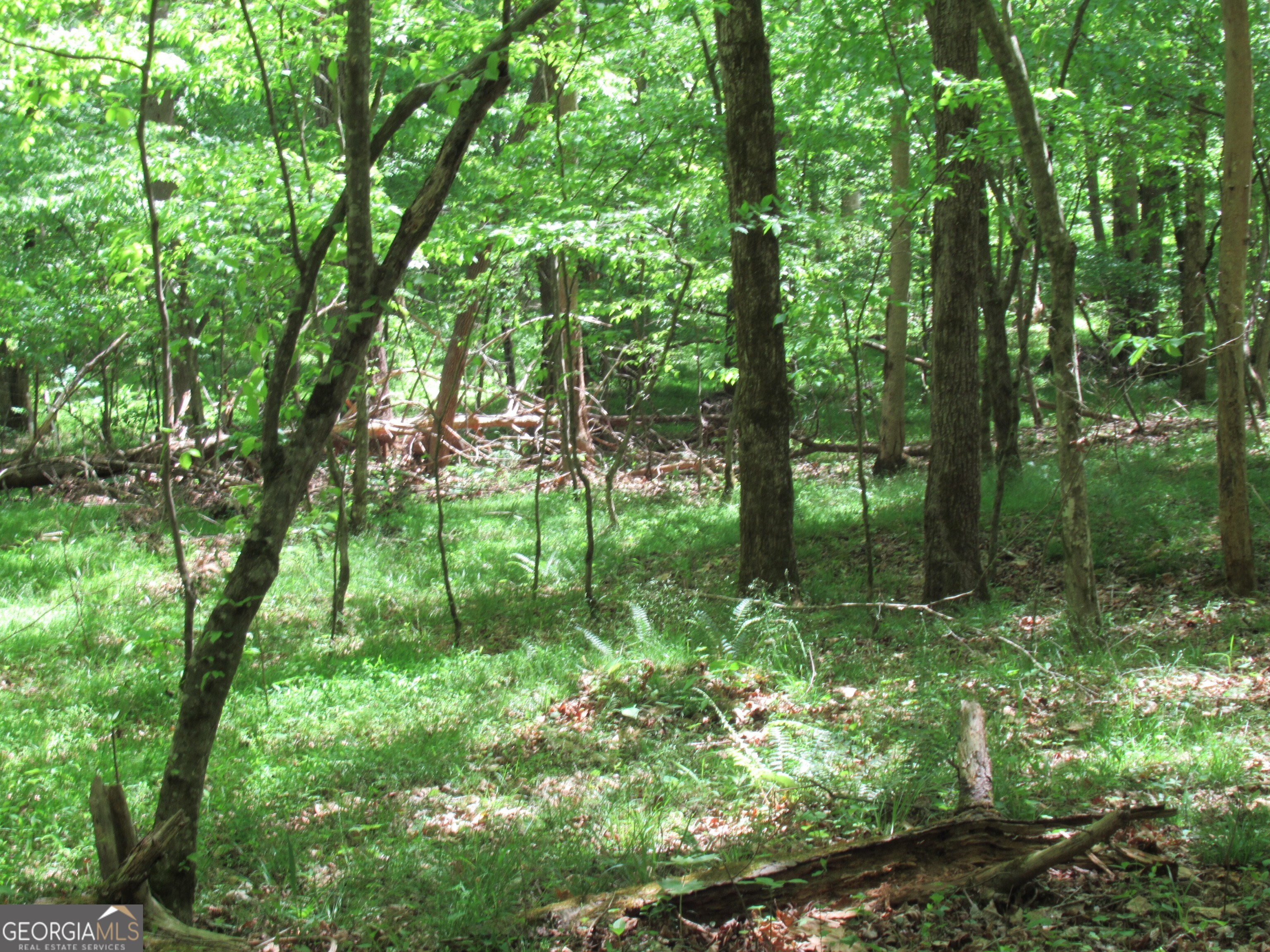 0 Chestatee Drive Property Photo 3