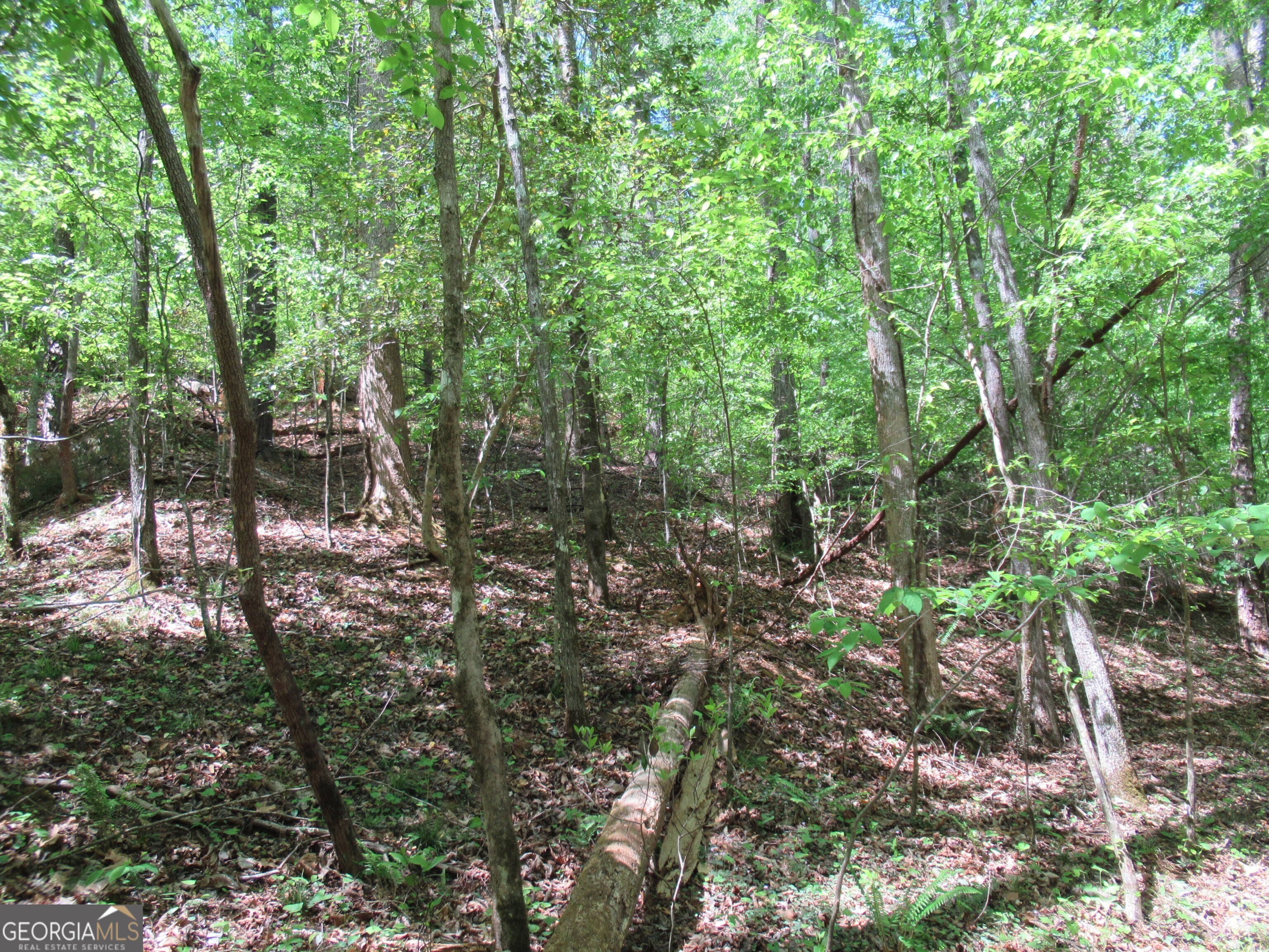 0 Chestatee Drive Property Photo 5