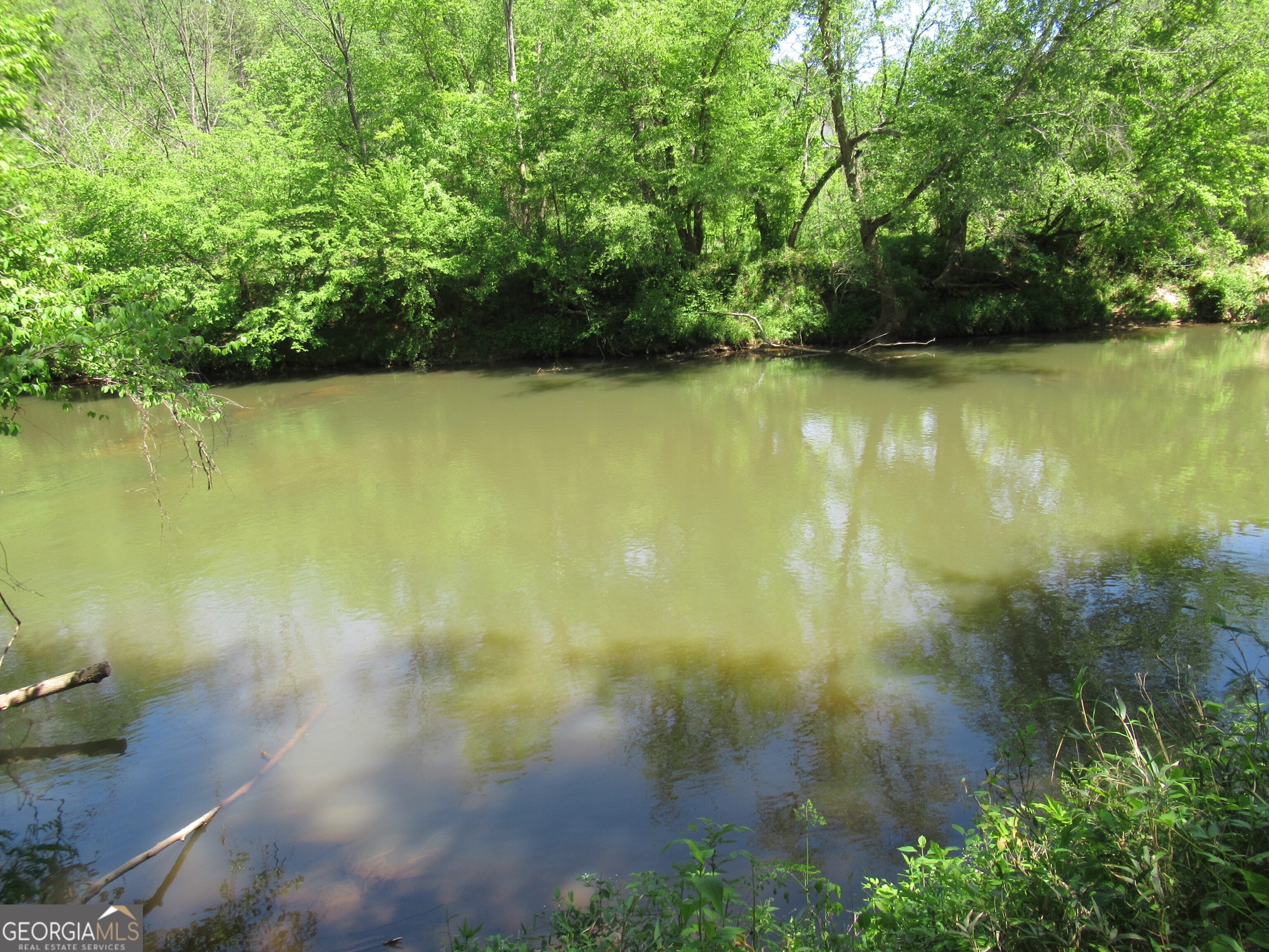 0 Chestatee Drive Property Photo 6