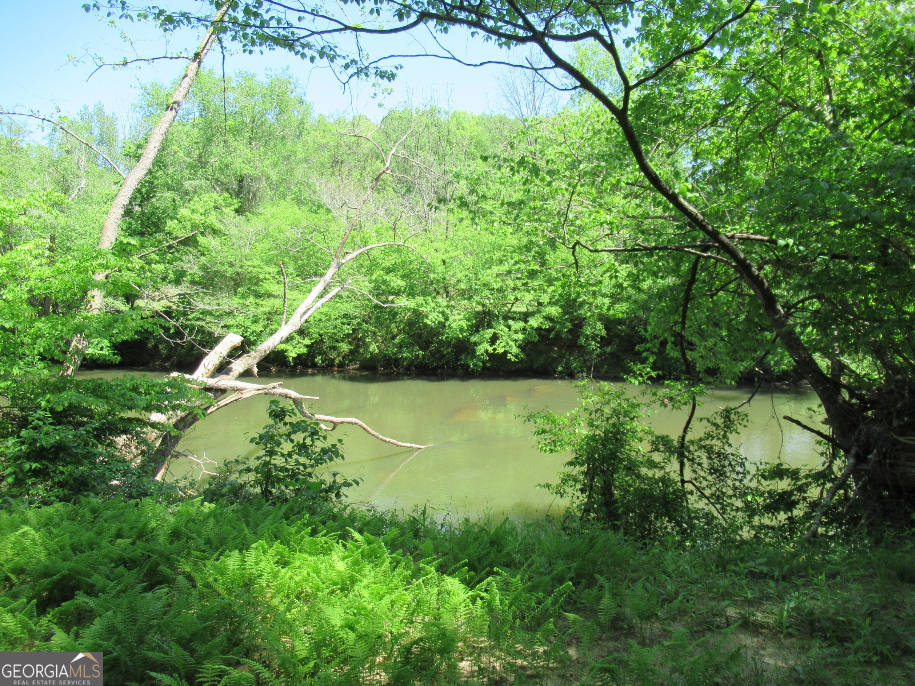 0 Chestatee Drive Property Photo 8