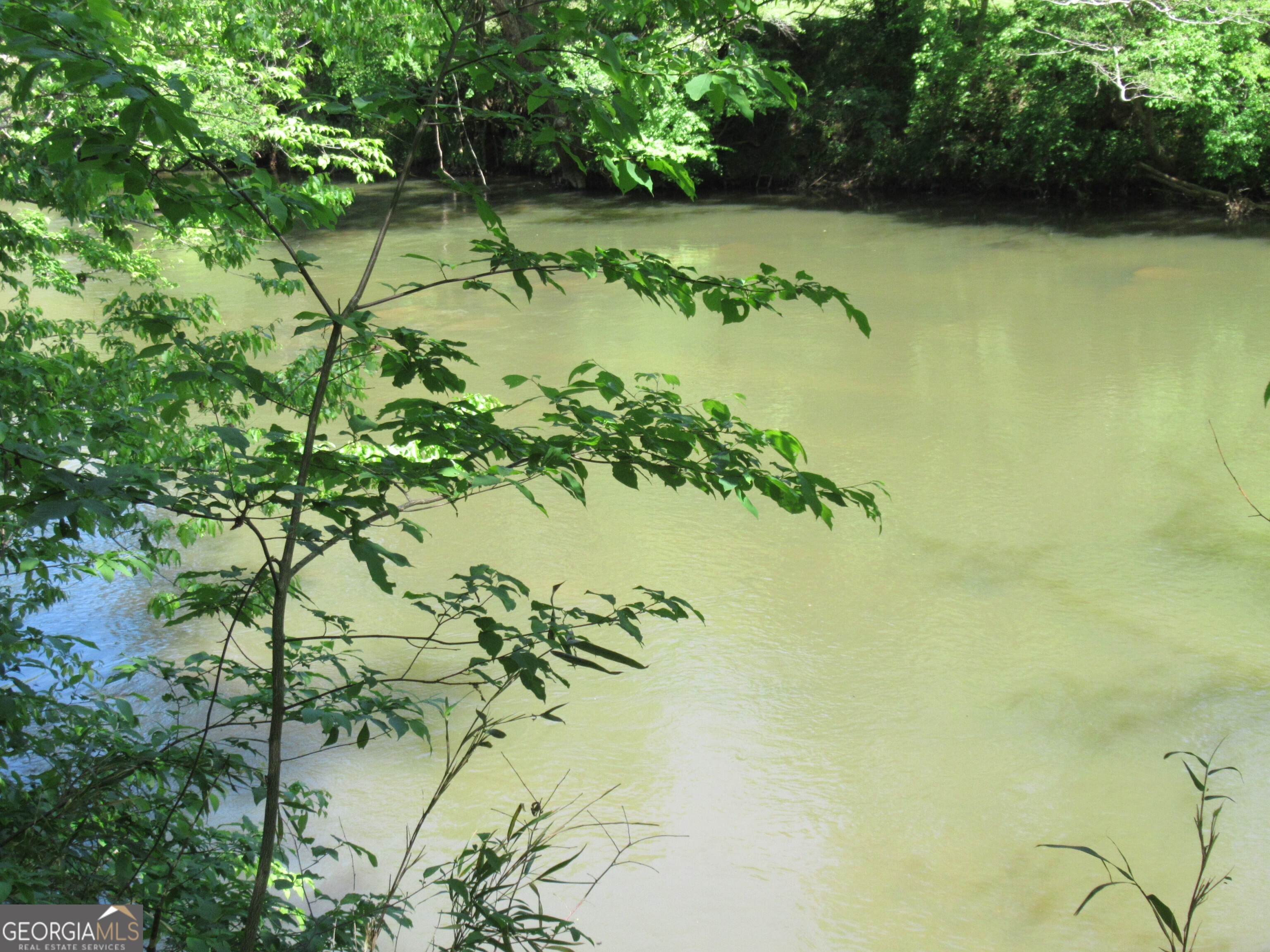 0 Chestatee Drive Property Photo 9