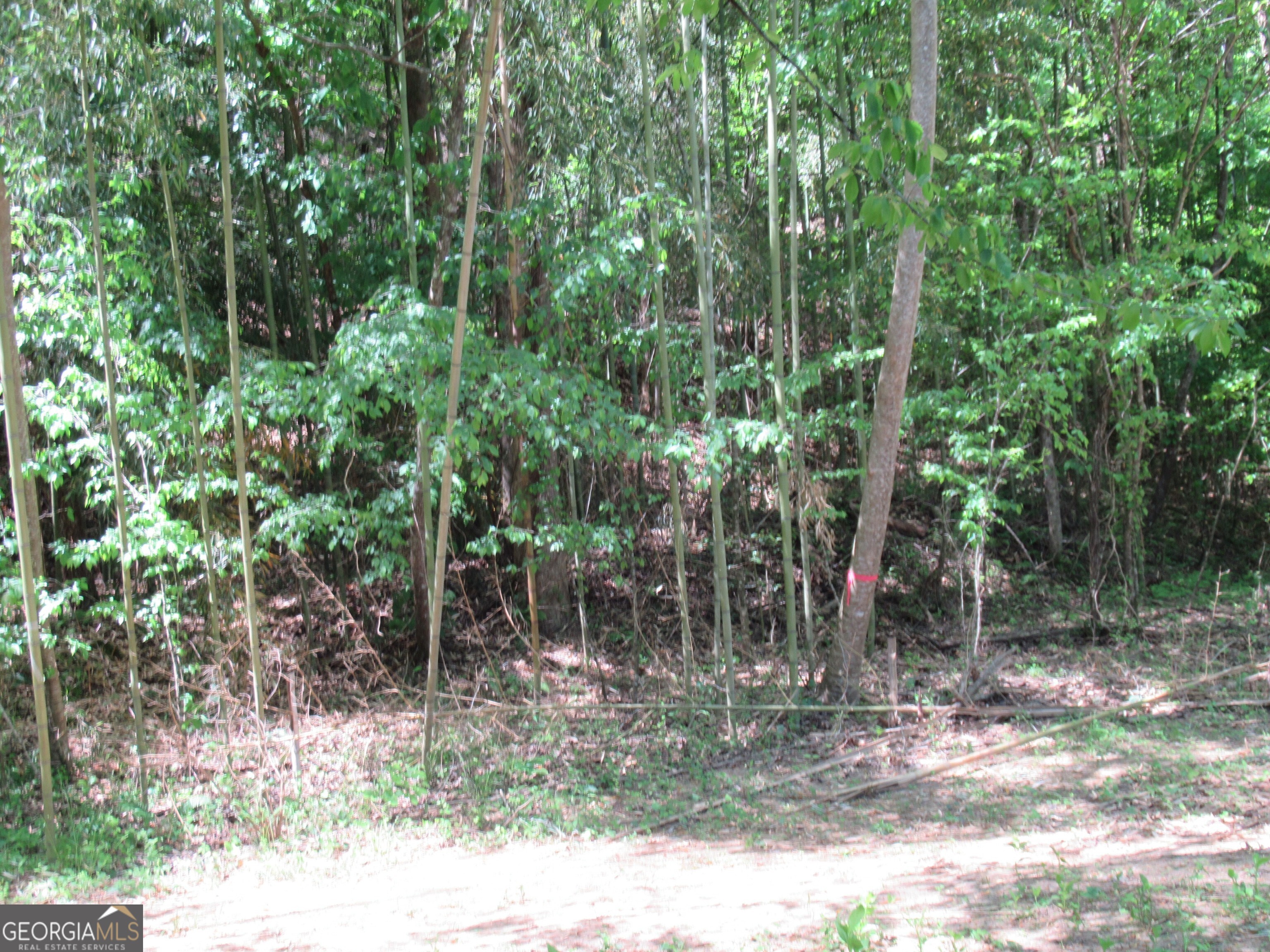 0 Chestatee Drive Property Photo 10