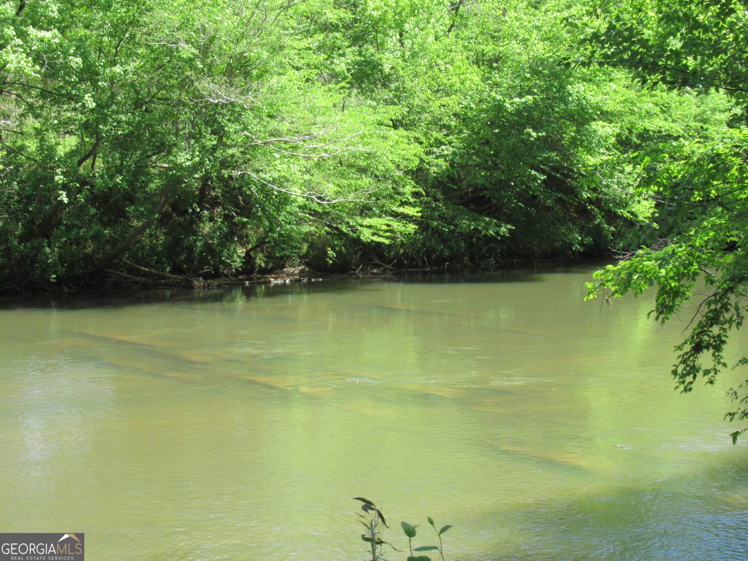 0 Chestatee Drive Property Photo 11