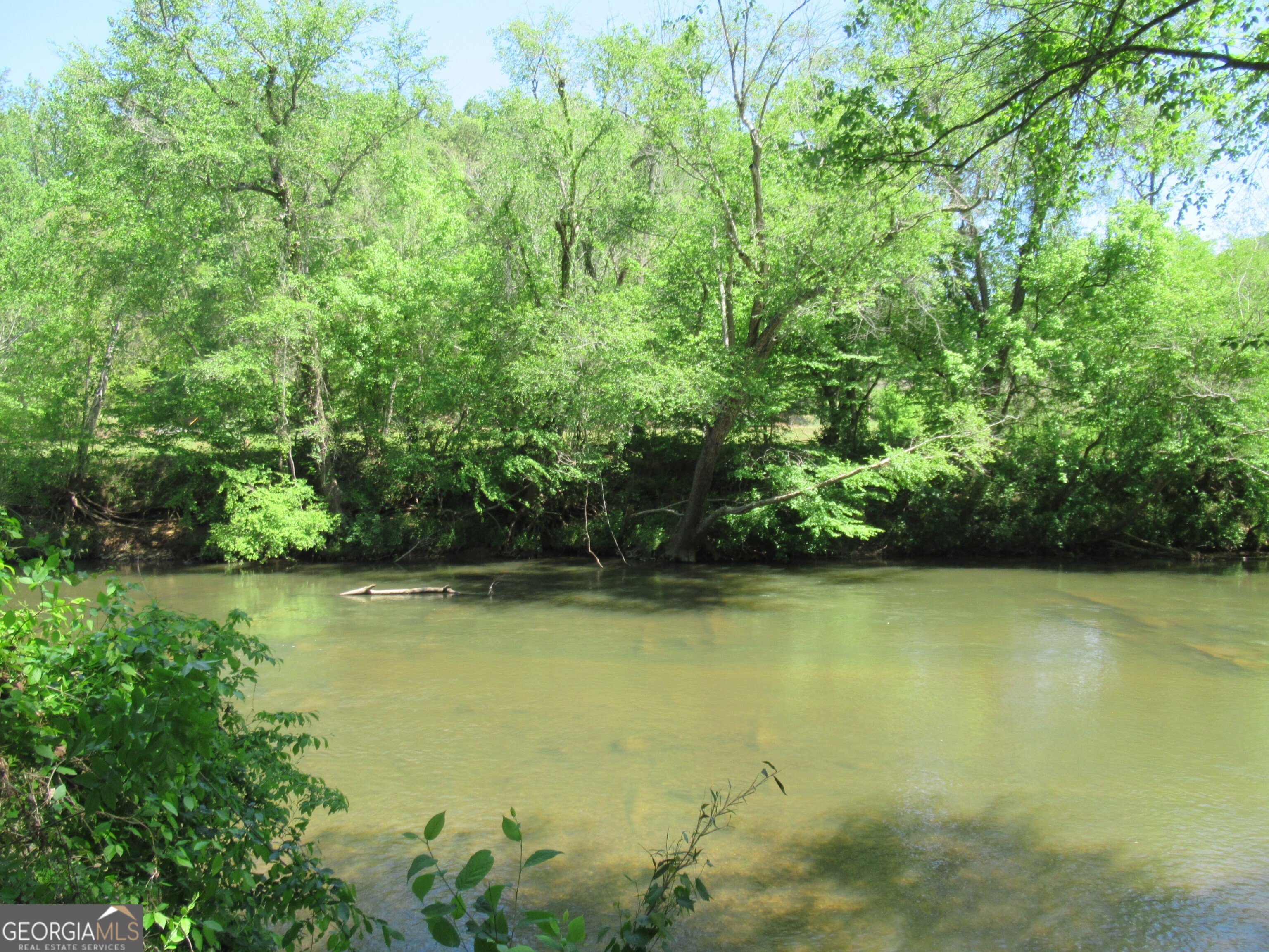 0 Chestatee Drive Property Photo 12