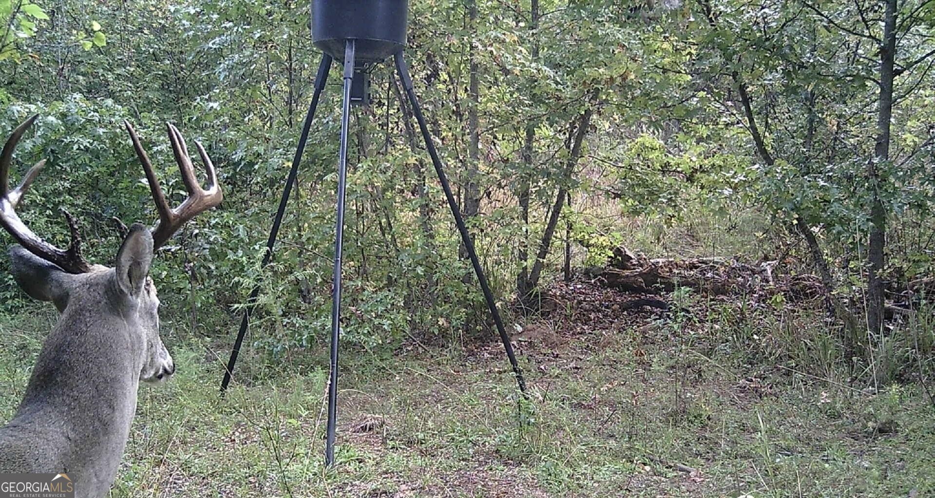 2200 Sharon Road Property Photo 3