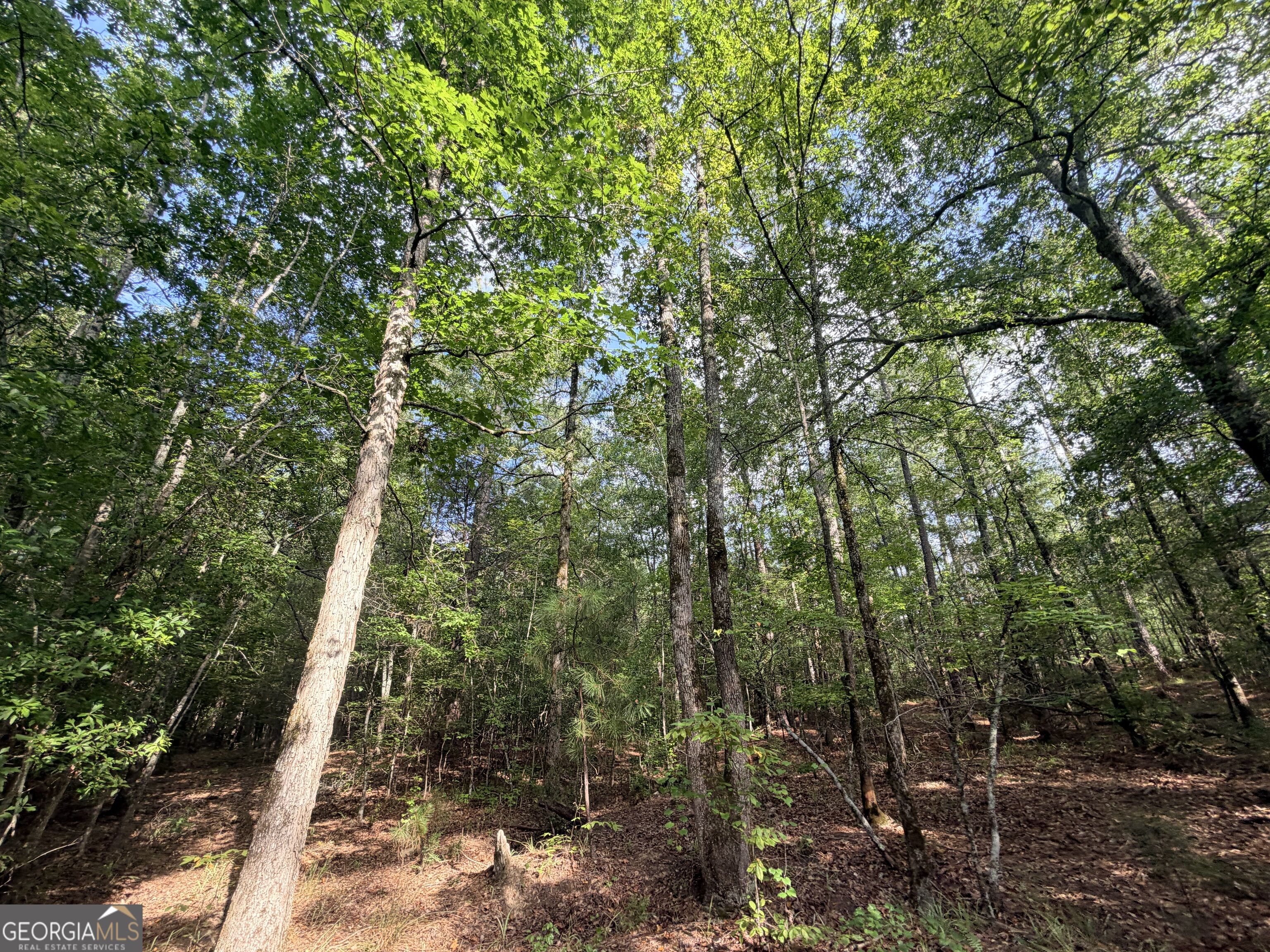 2200 Sharon Road Property Photo 55